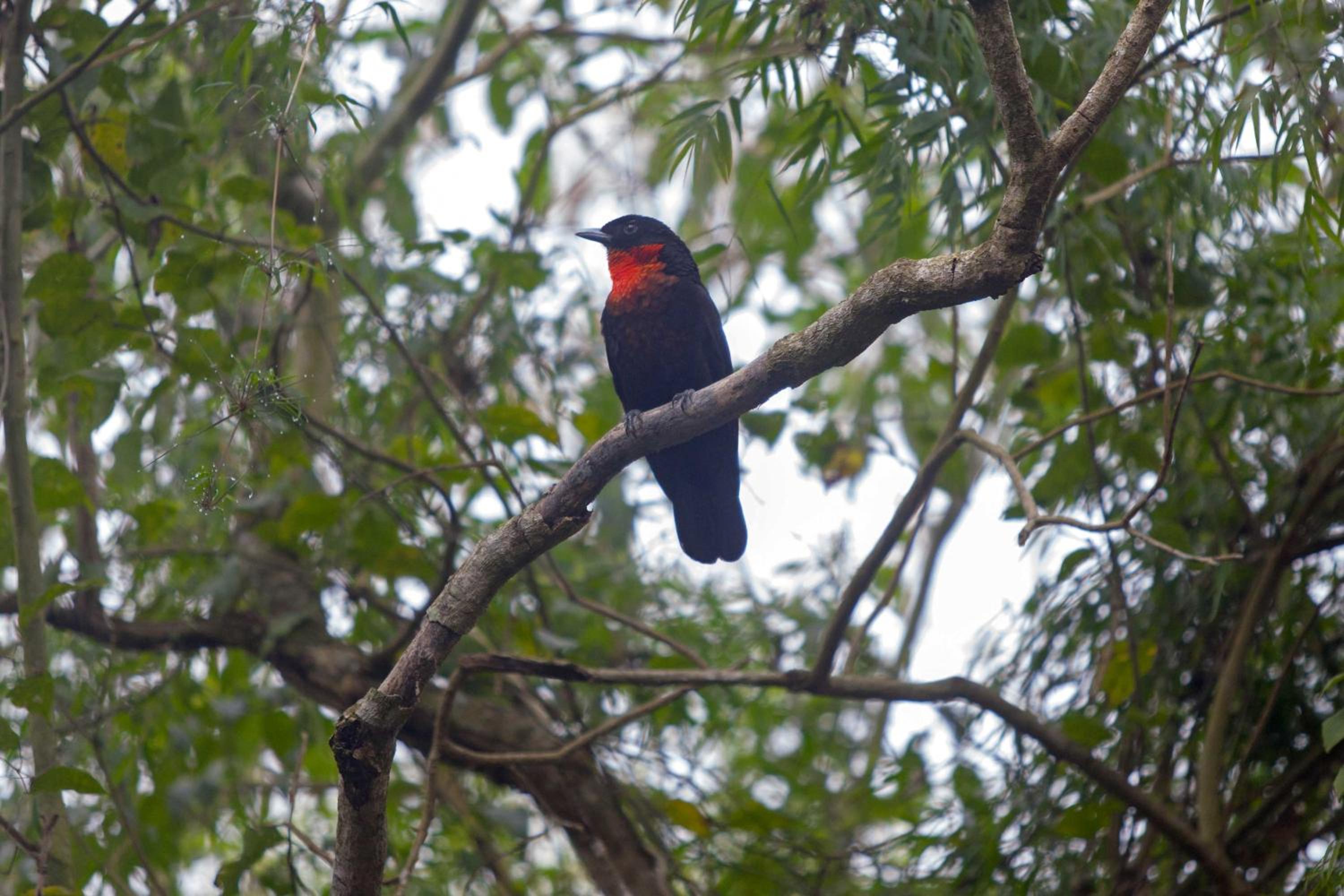 Chacra del Agua Reserva Privada
