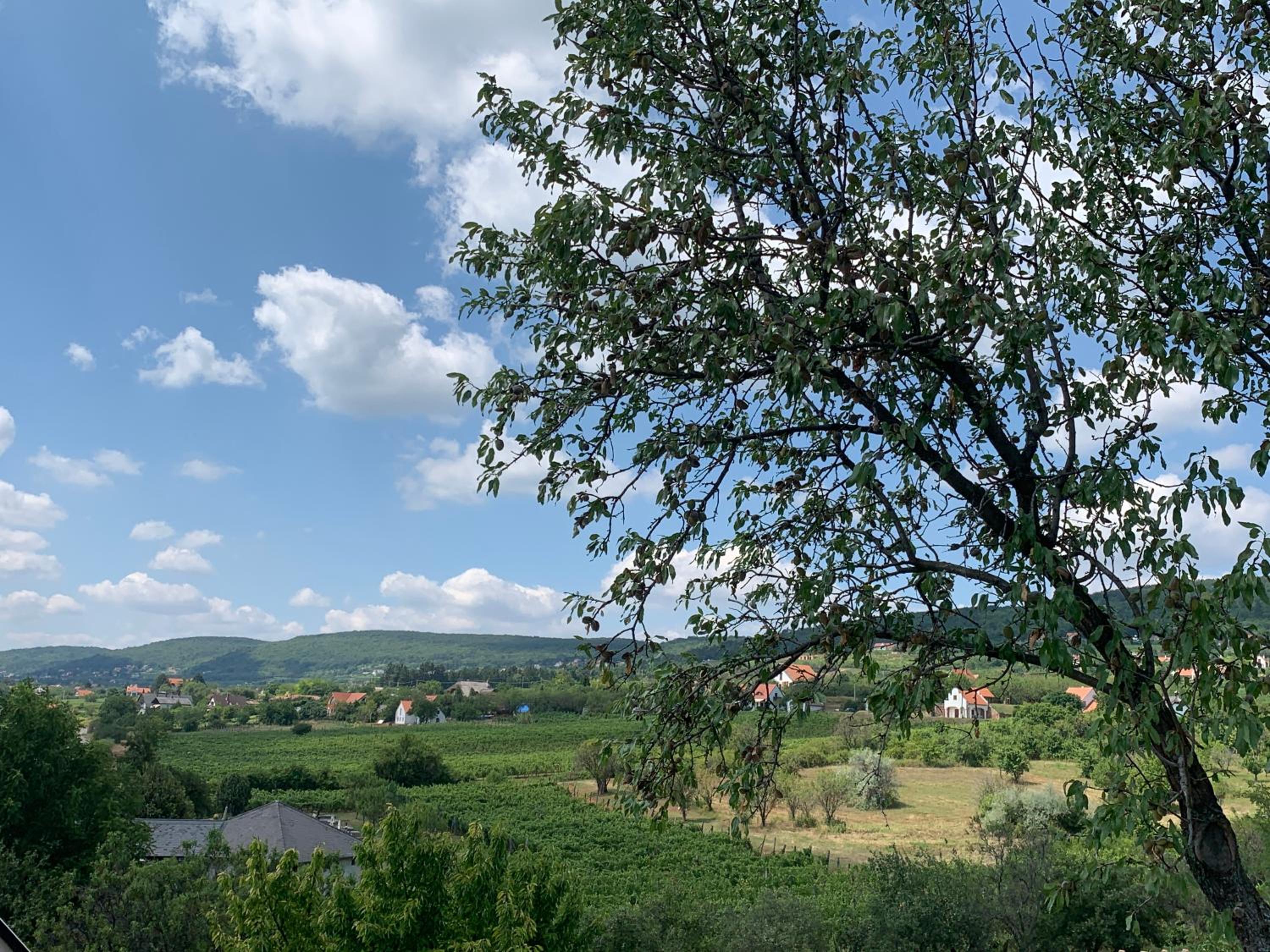 Mandula House view 5