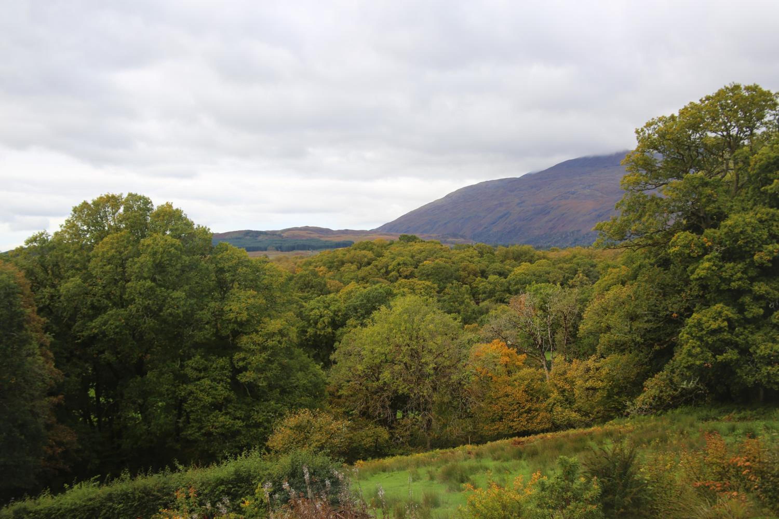 Pirn Mill Self Catering Cottage view 5