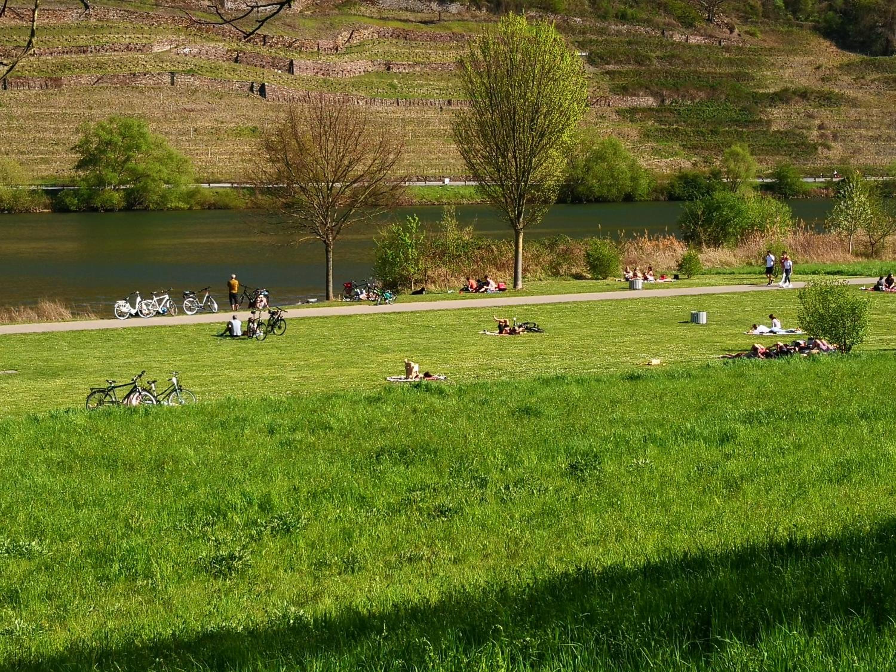 Ferienhaus MaLeFi 2 am Gülser Moselbogen