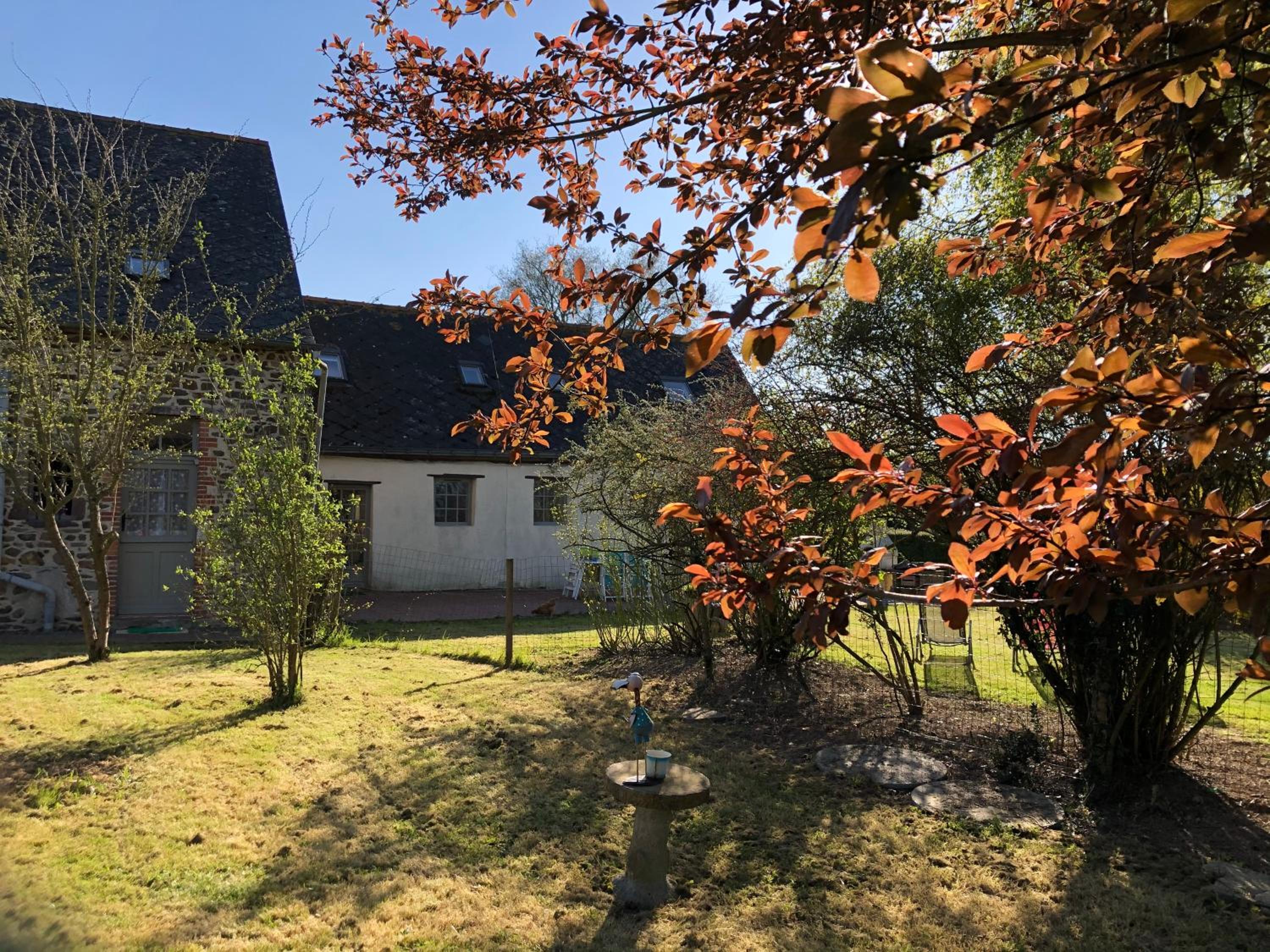Photo 19