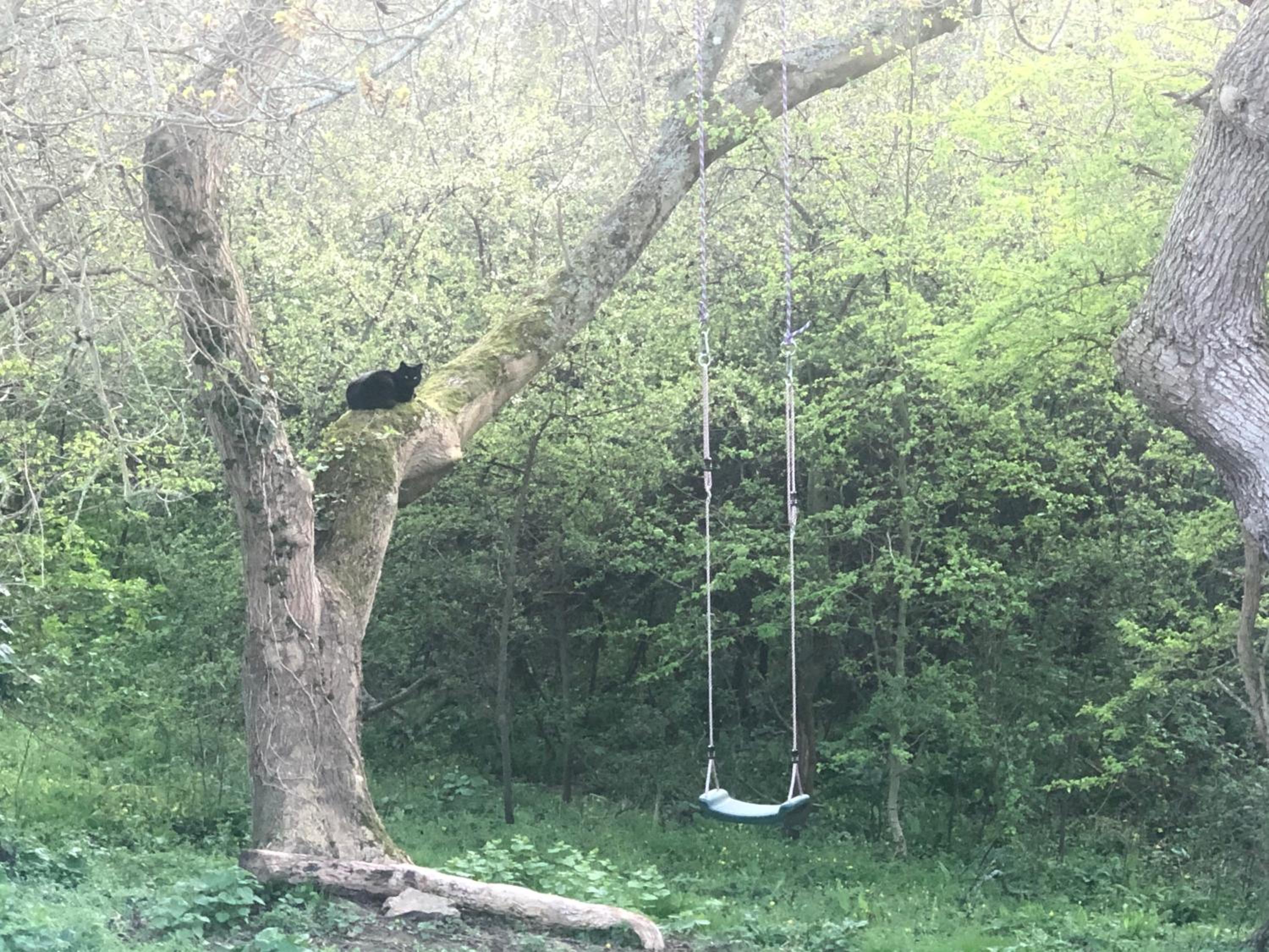 Photo 35