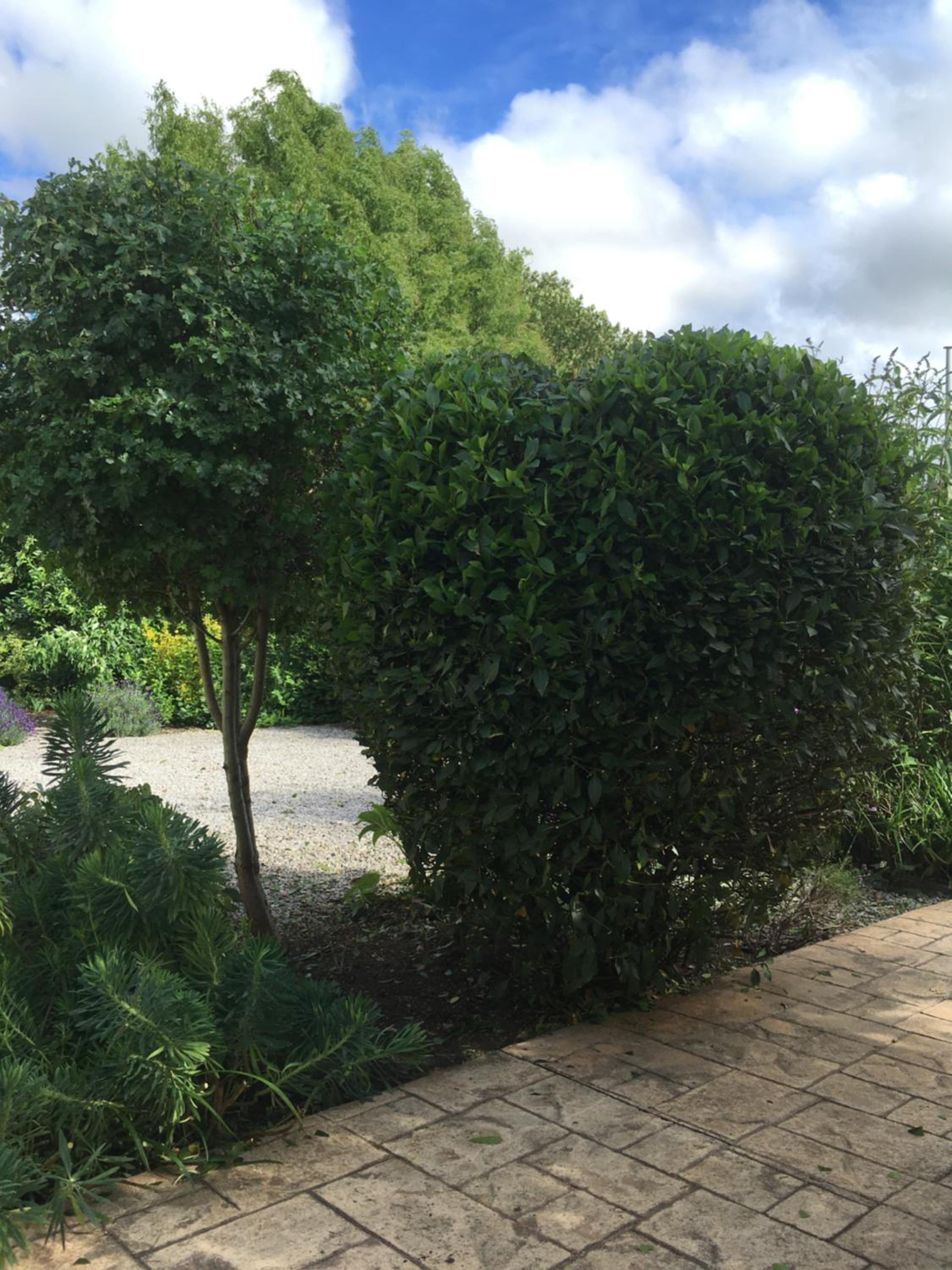 Photo 22