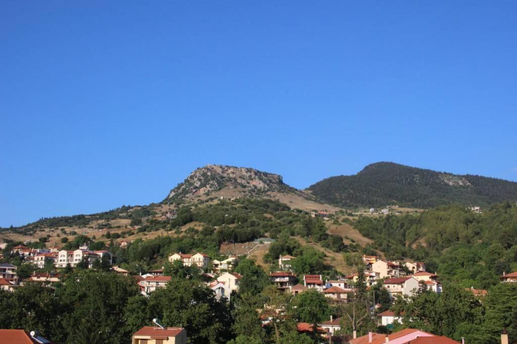 Velia Guesthouse