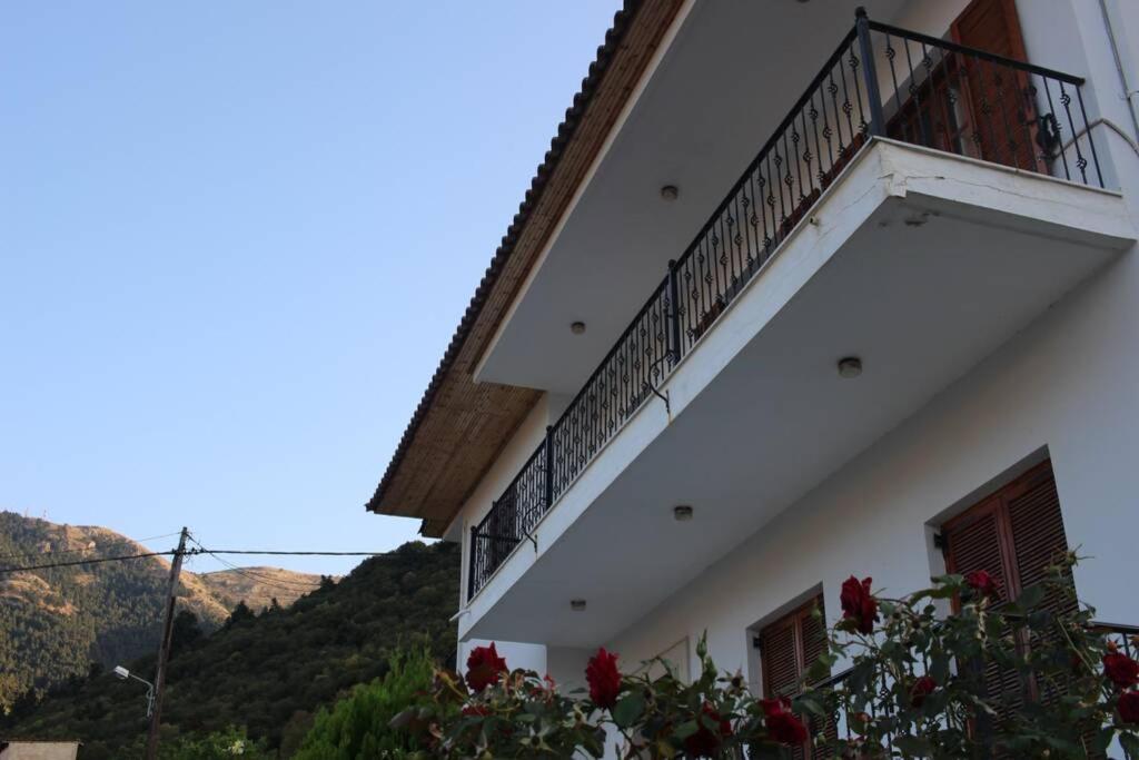 Velia Guesthouse
