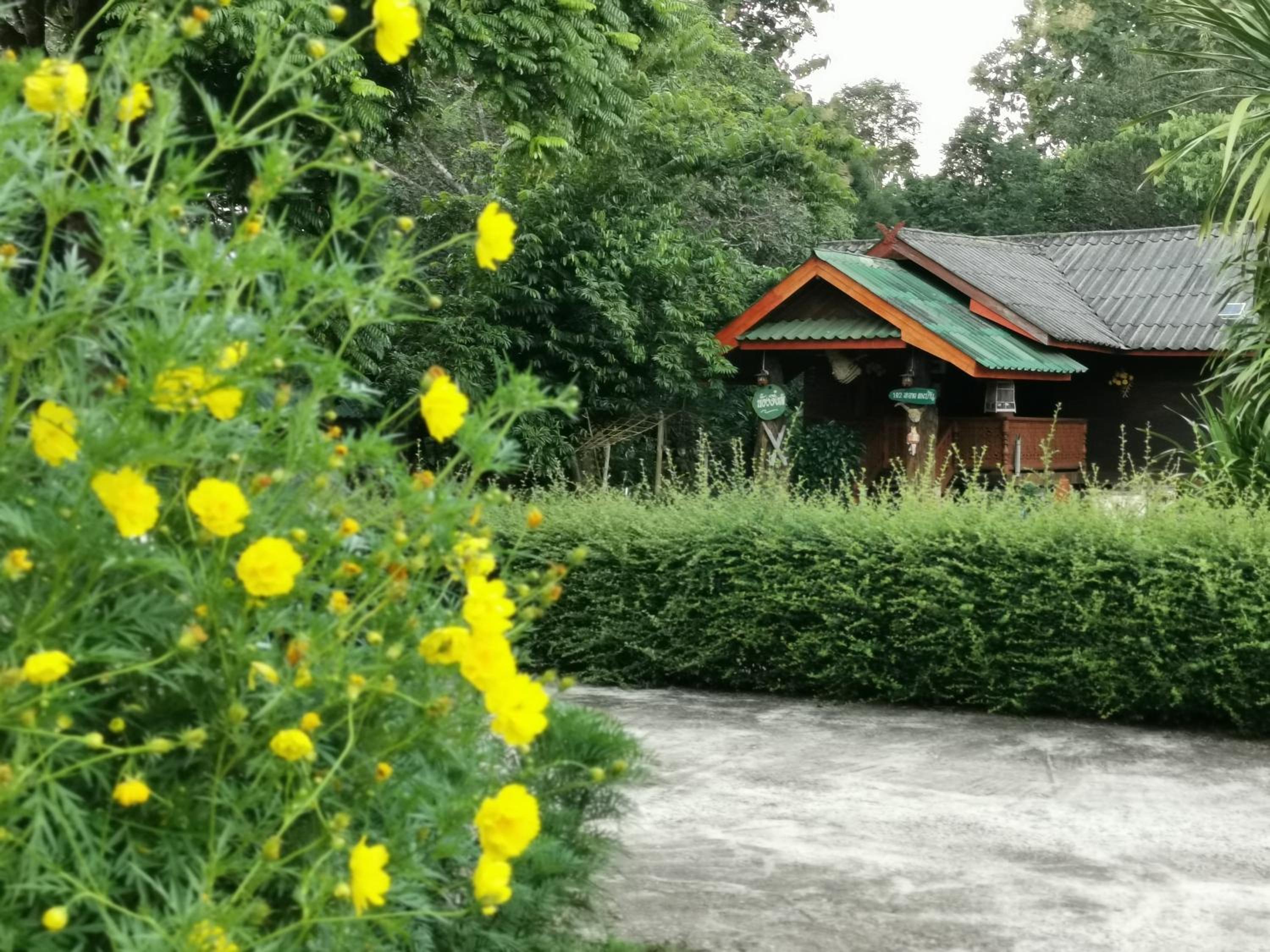 Home Garden Chaeson บ้านสวน ชวนฝัน