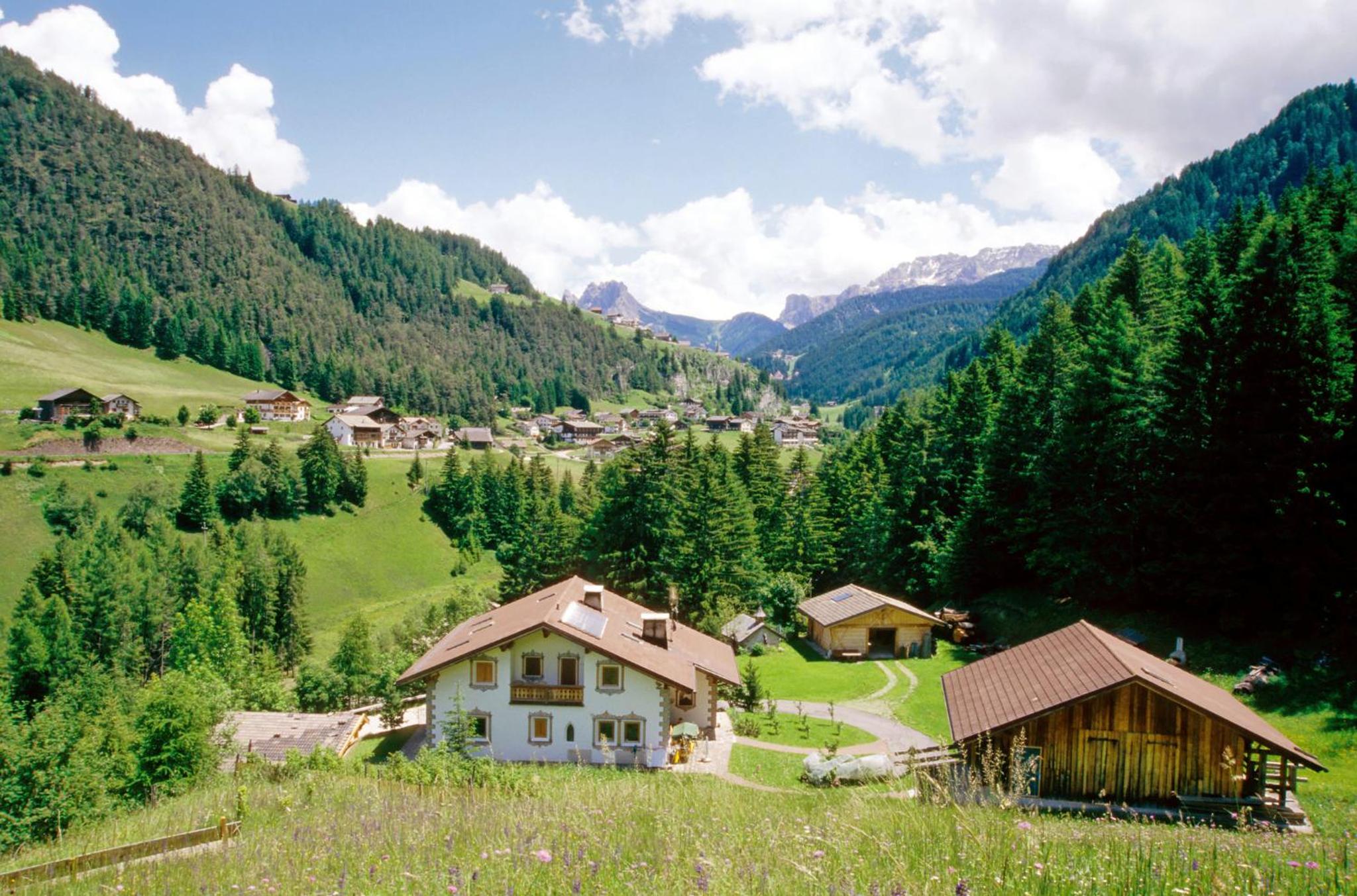 Apartment Puciacia - Bauernhof view 3