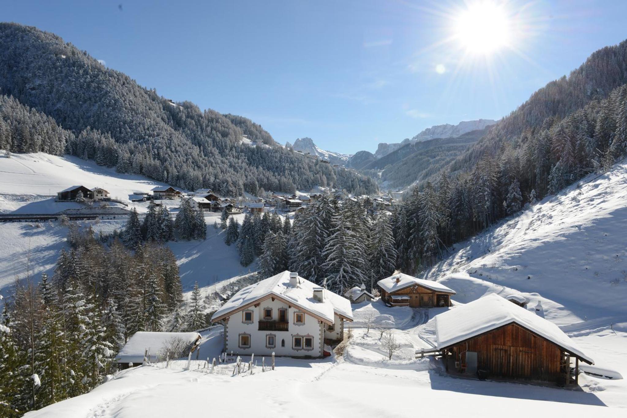 Apartment Puciacia - Bauernhof view 4