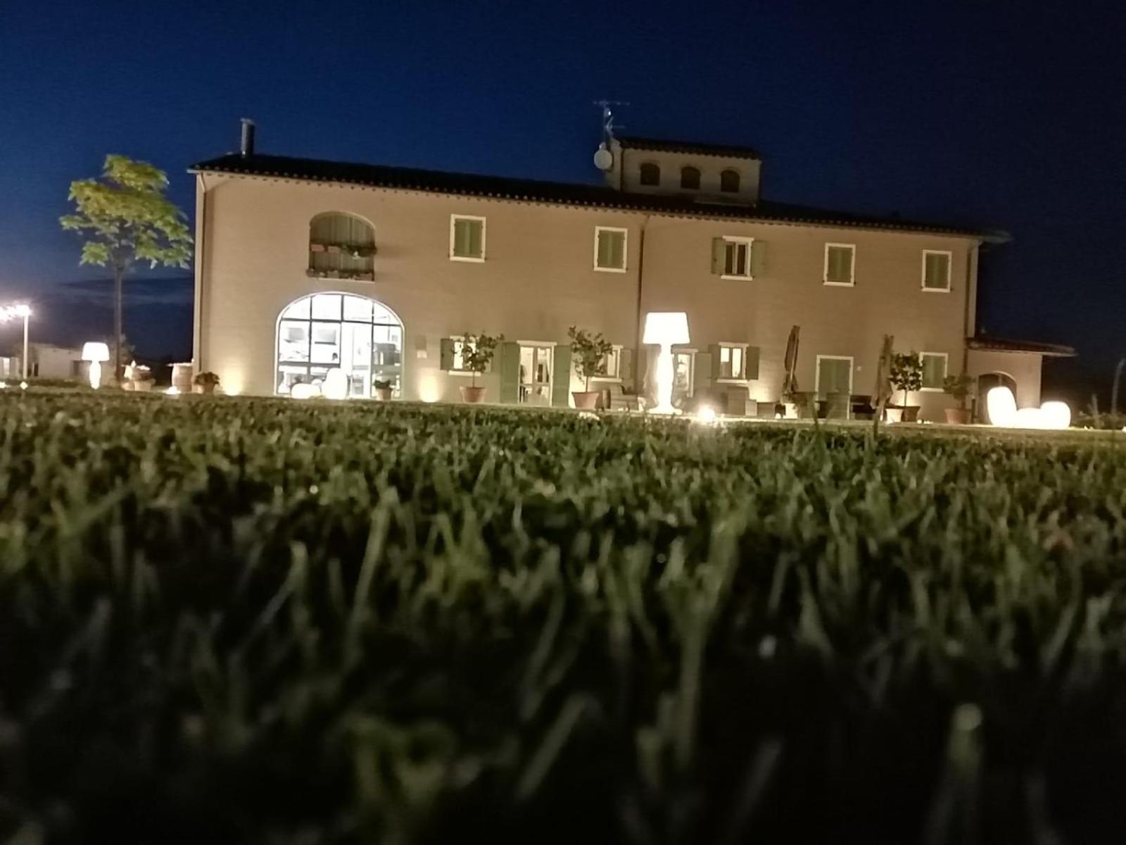 Fattoria L'Olmetto