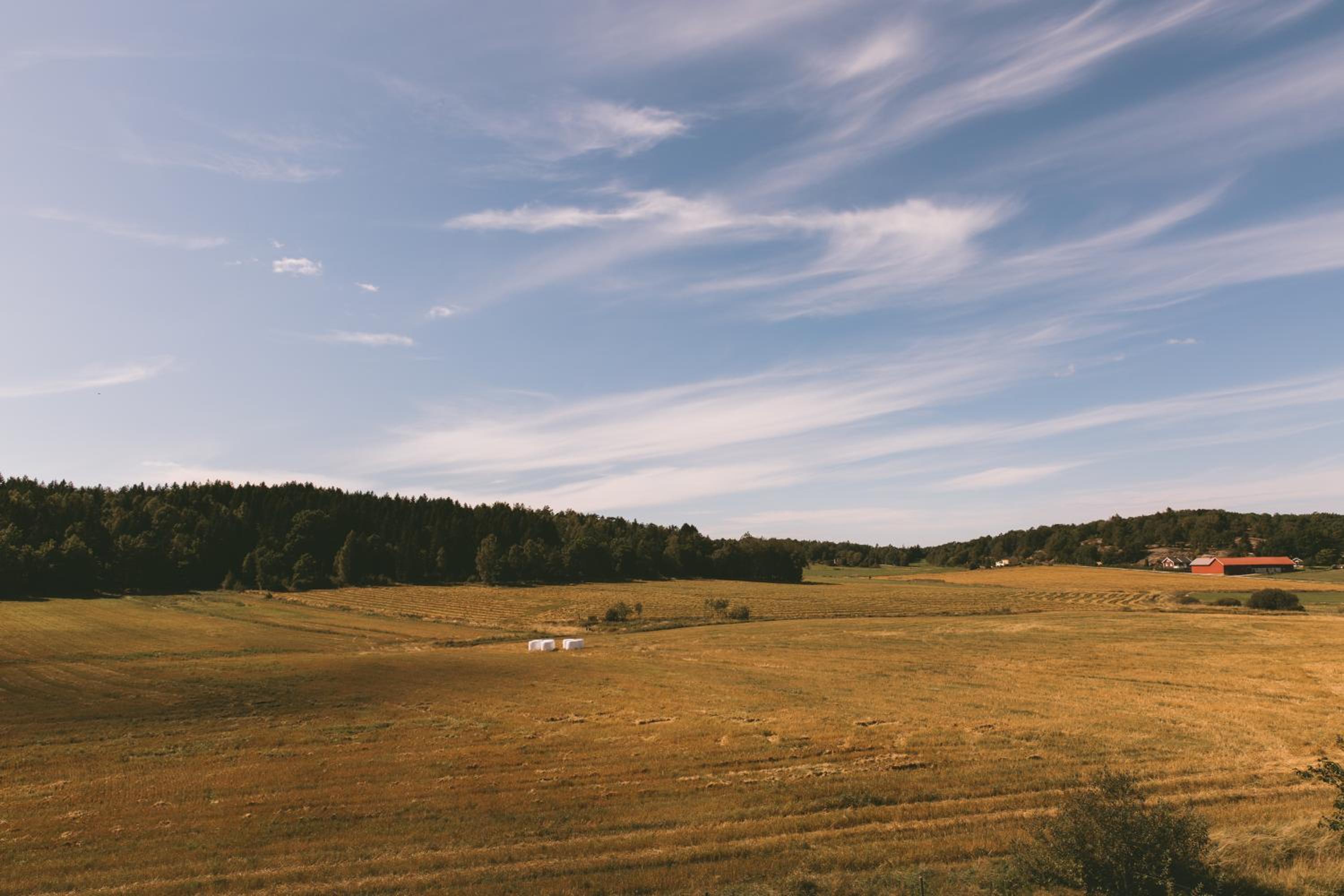 Toric Farmlodge