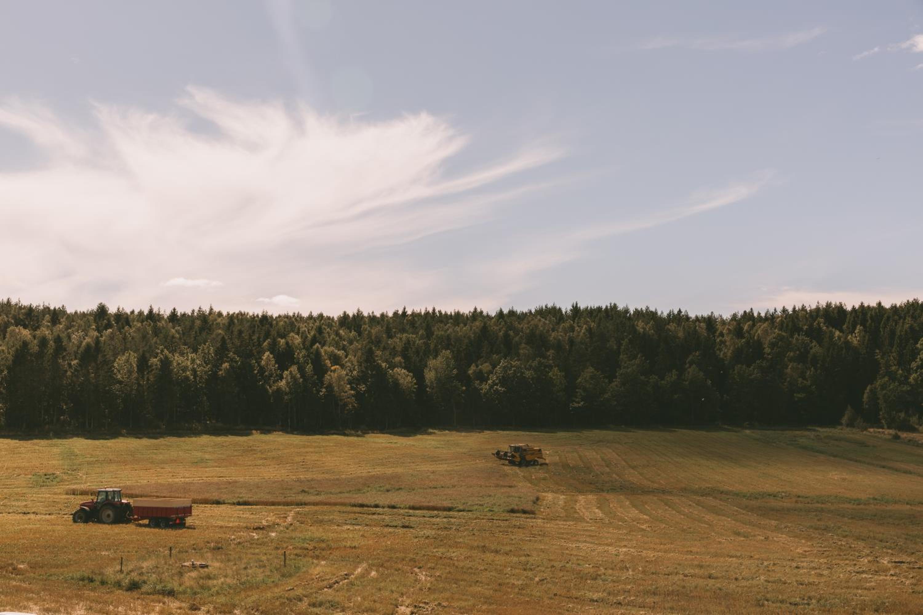 Toric Farmlodge
