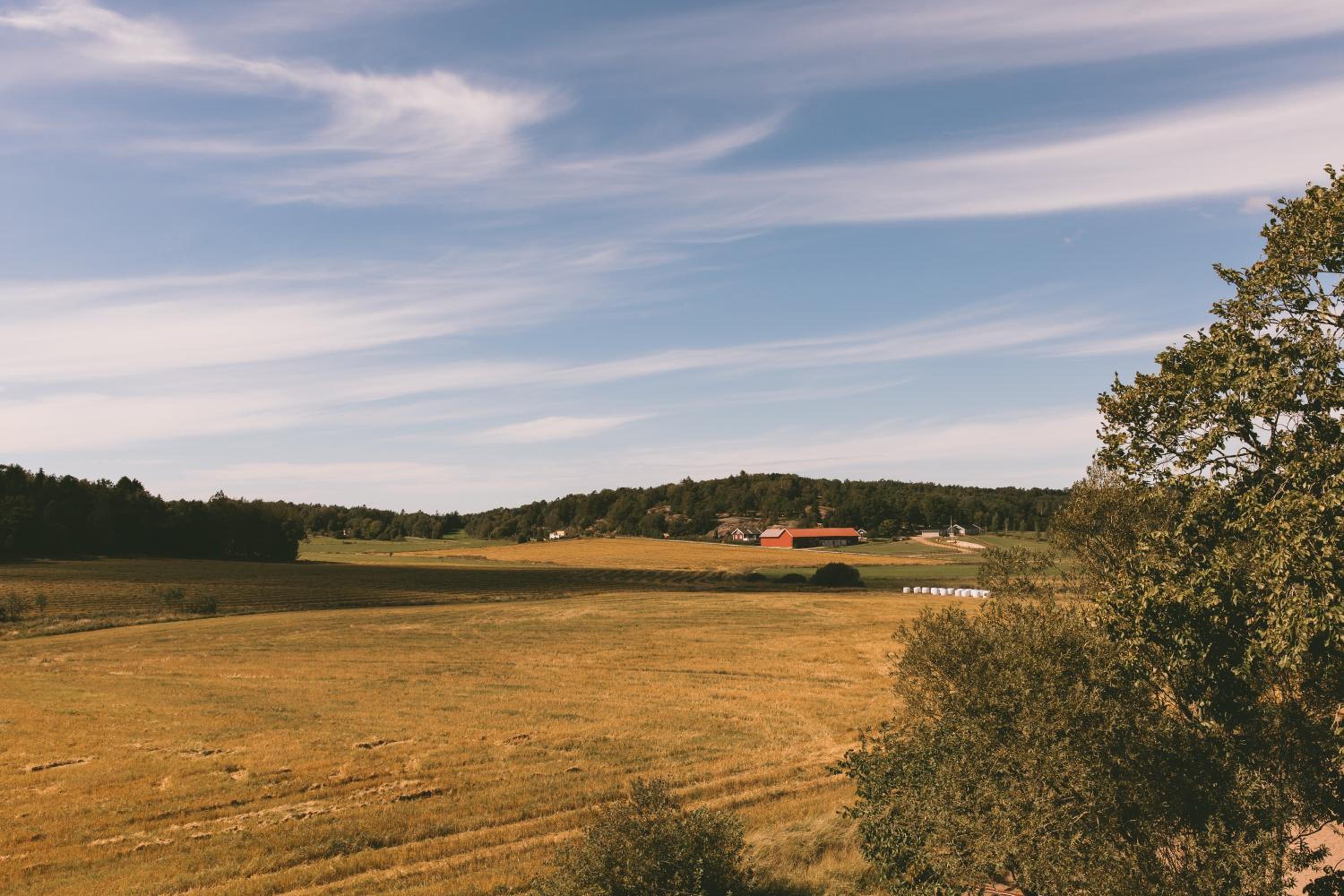 Toric Farmlodge