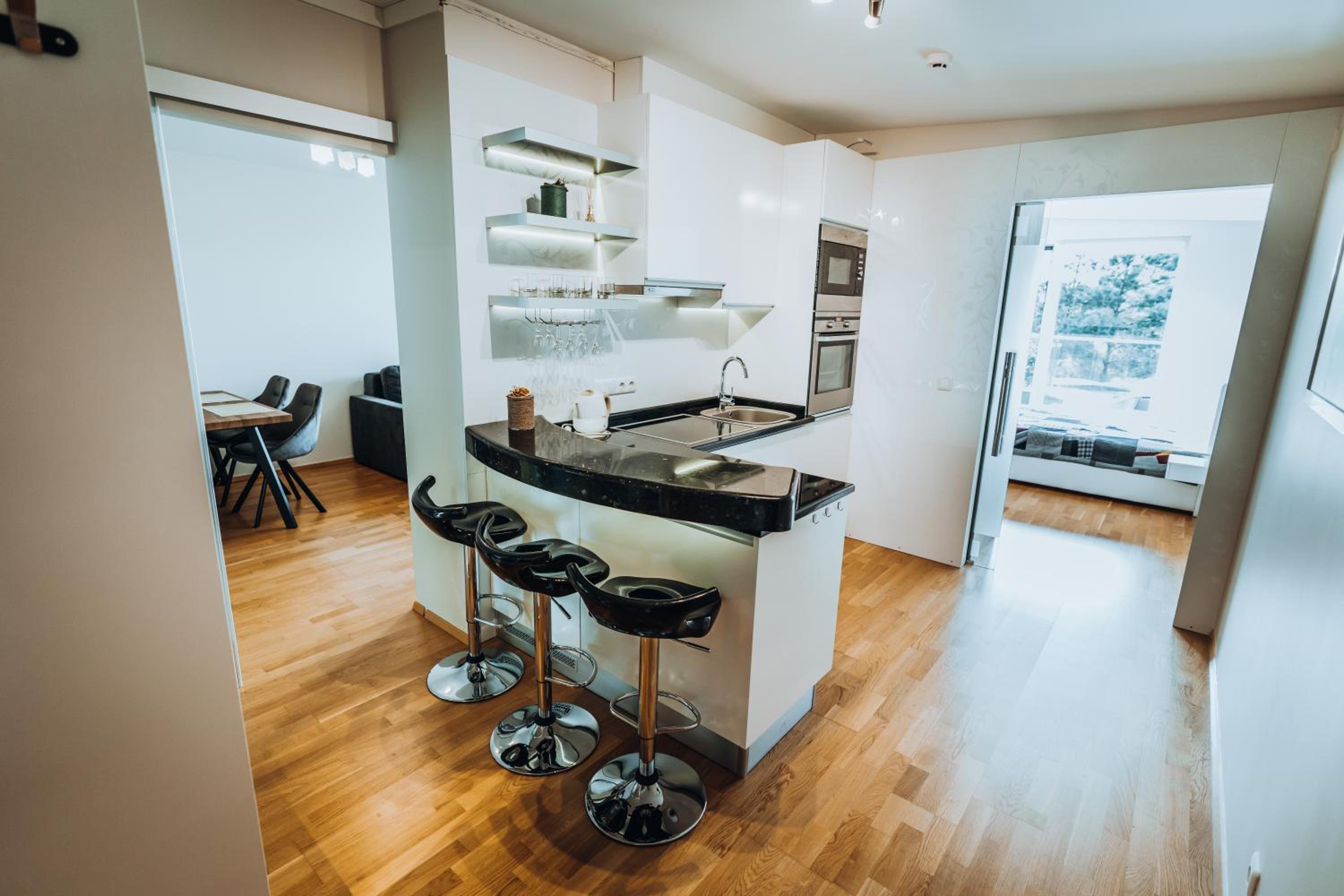 Vanagupės terasa - apartamentai prie jūros Palangoje view 5