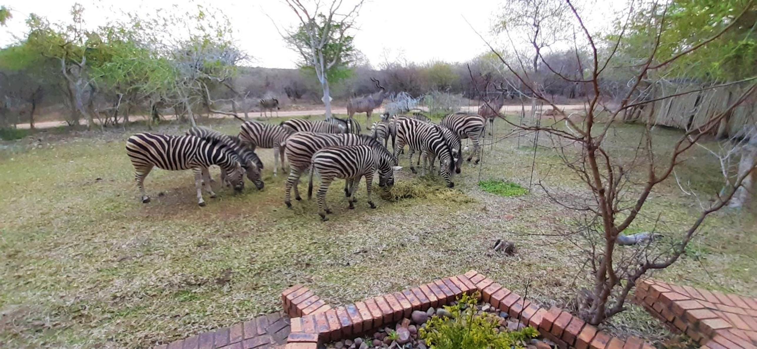 Kruger Riverside Lodge - No Load-shedding