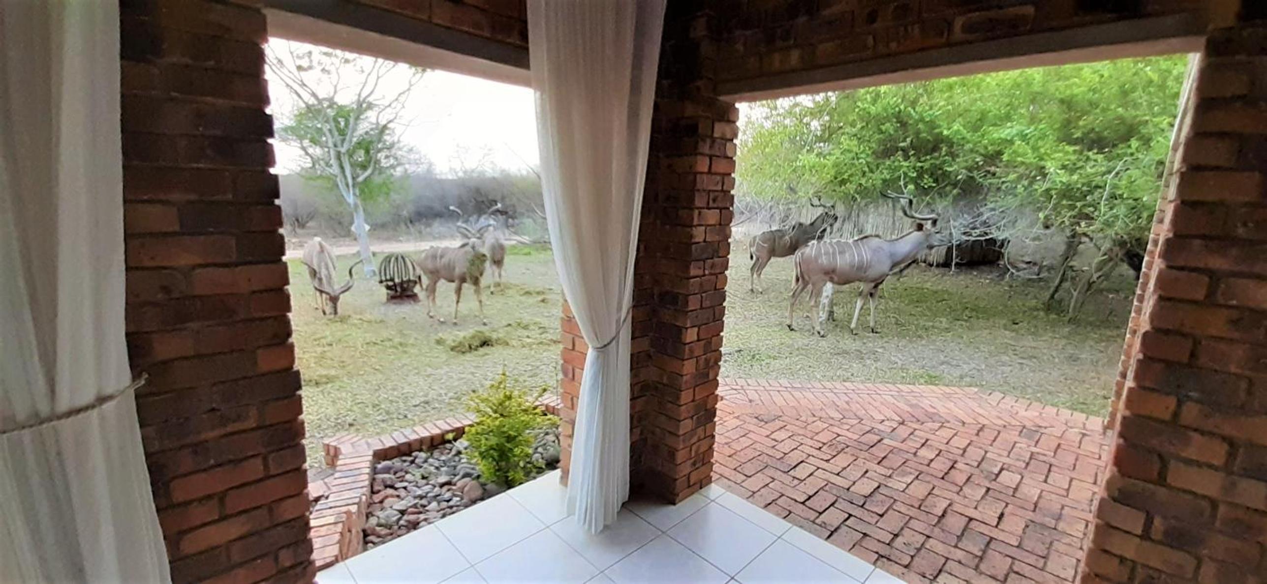 Kruger Riverside Lodge - No Load-shedding