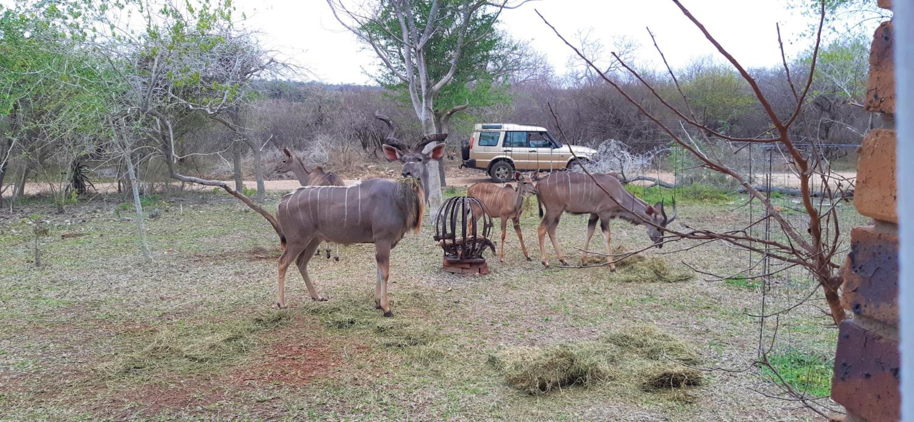 Kruger Riverside Lodge - No Load-shedding