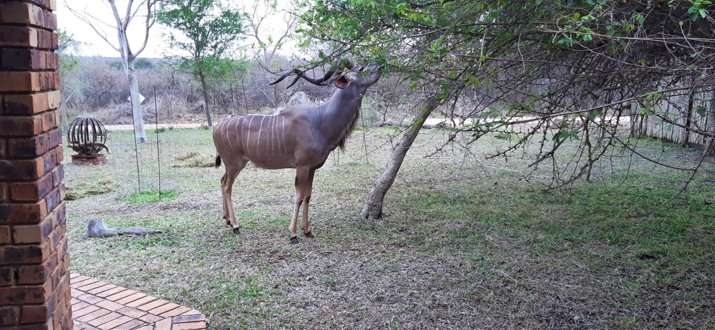 Kruger Riverside Lodge - No Load-shedding