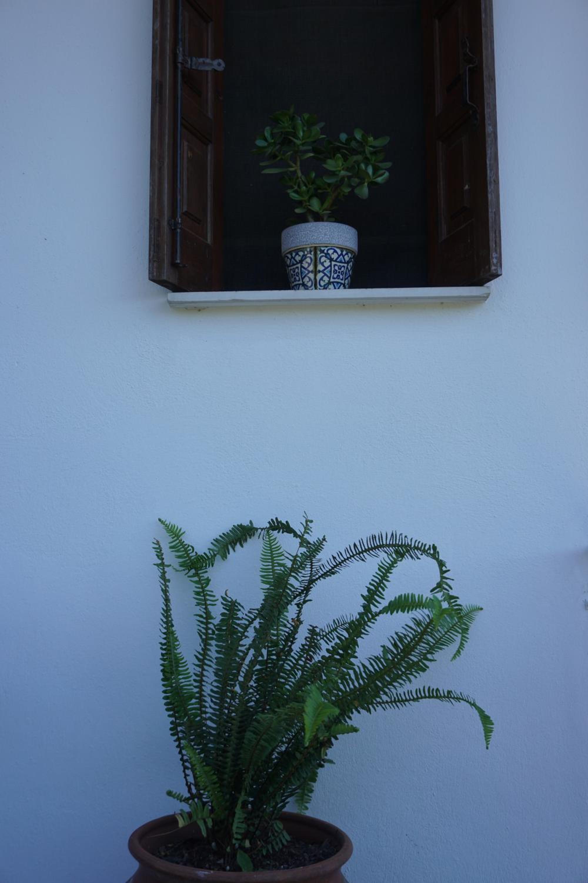 Artemisia House