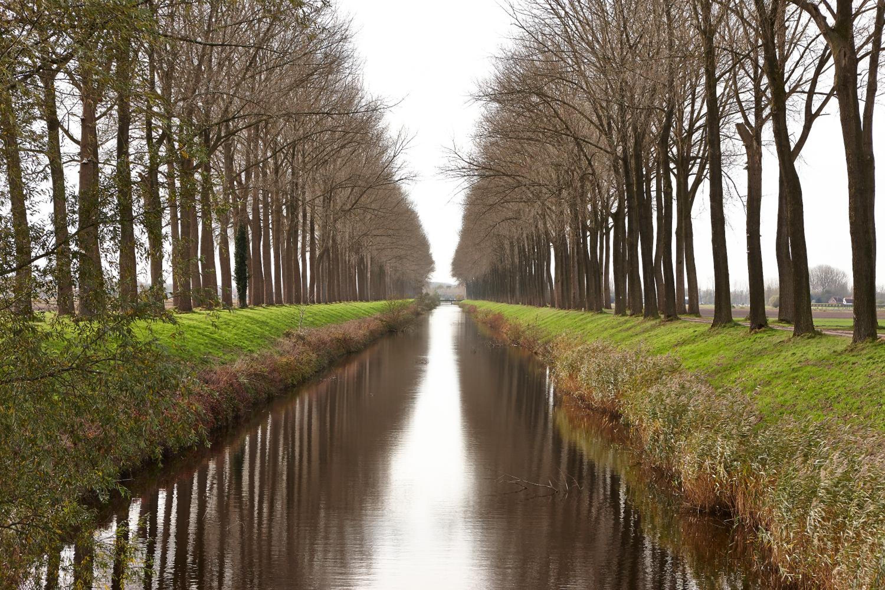 De Zonnebrug