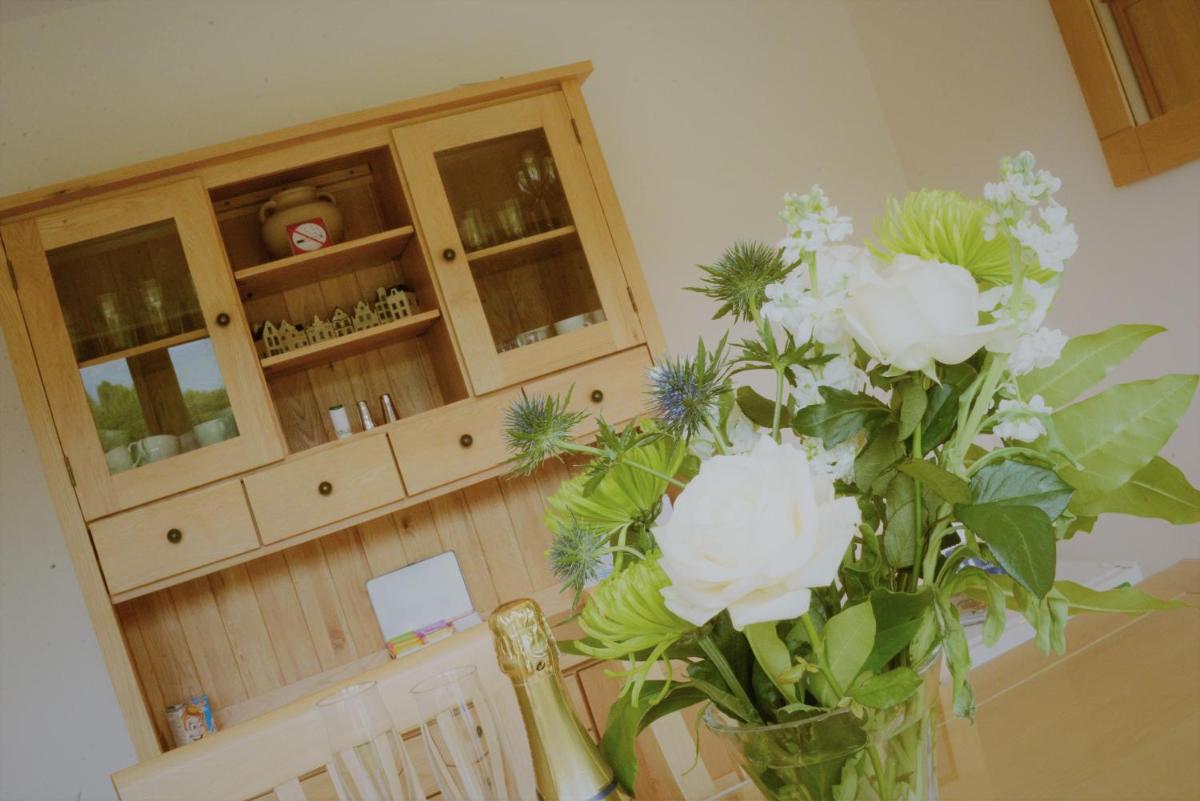 Torcastle House view 5