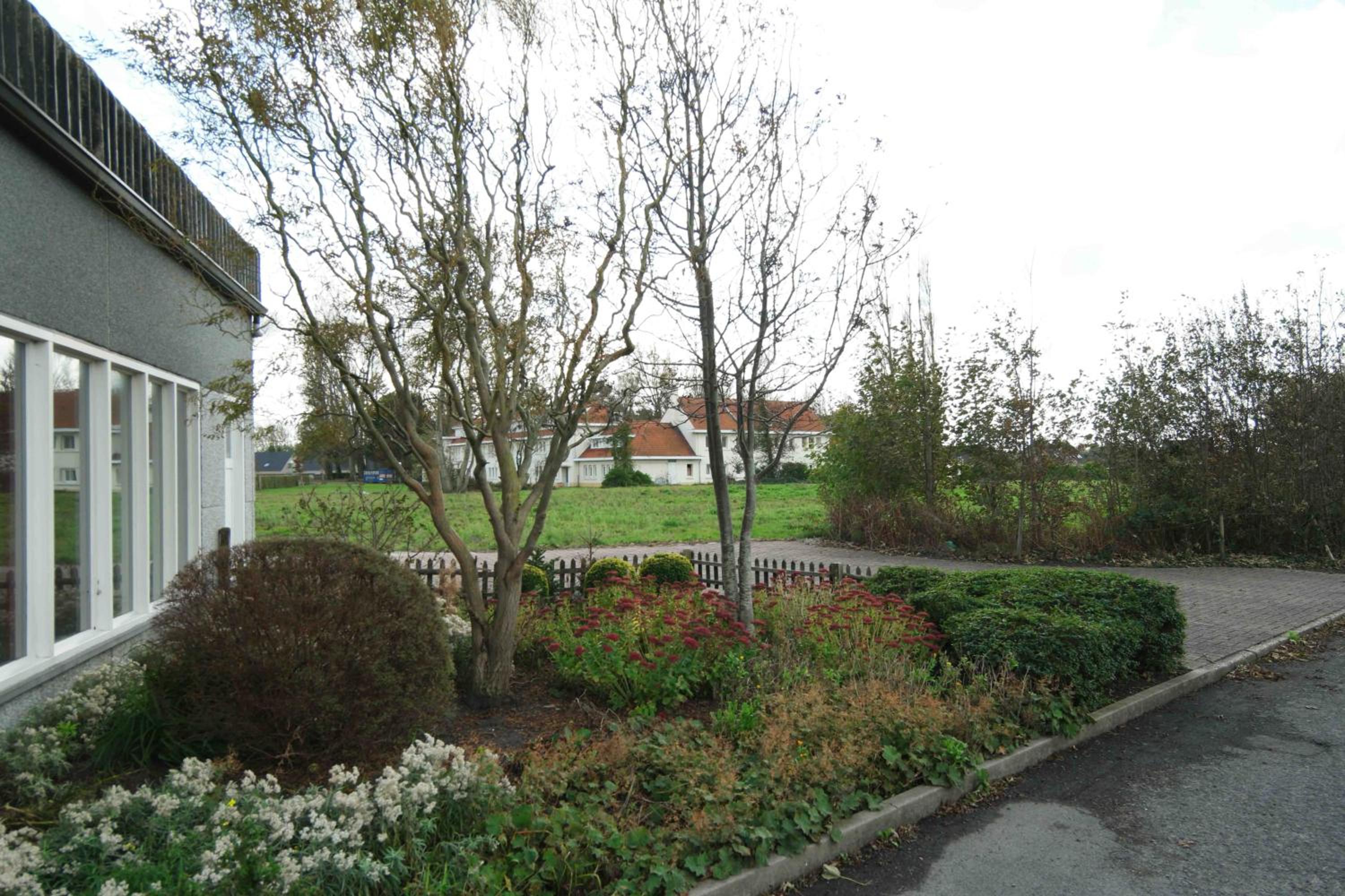 Photo 19