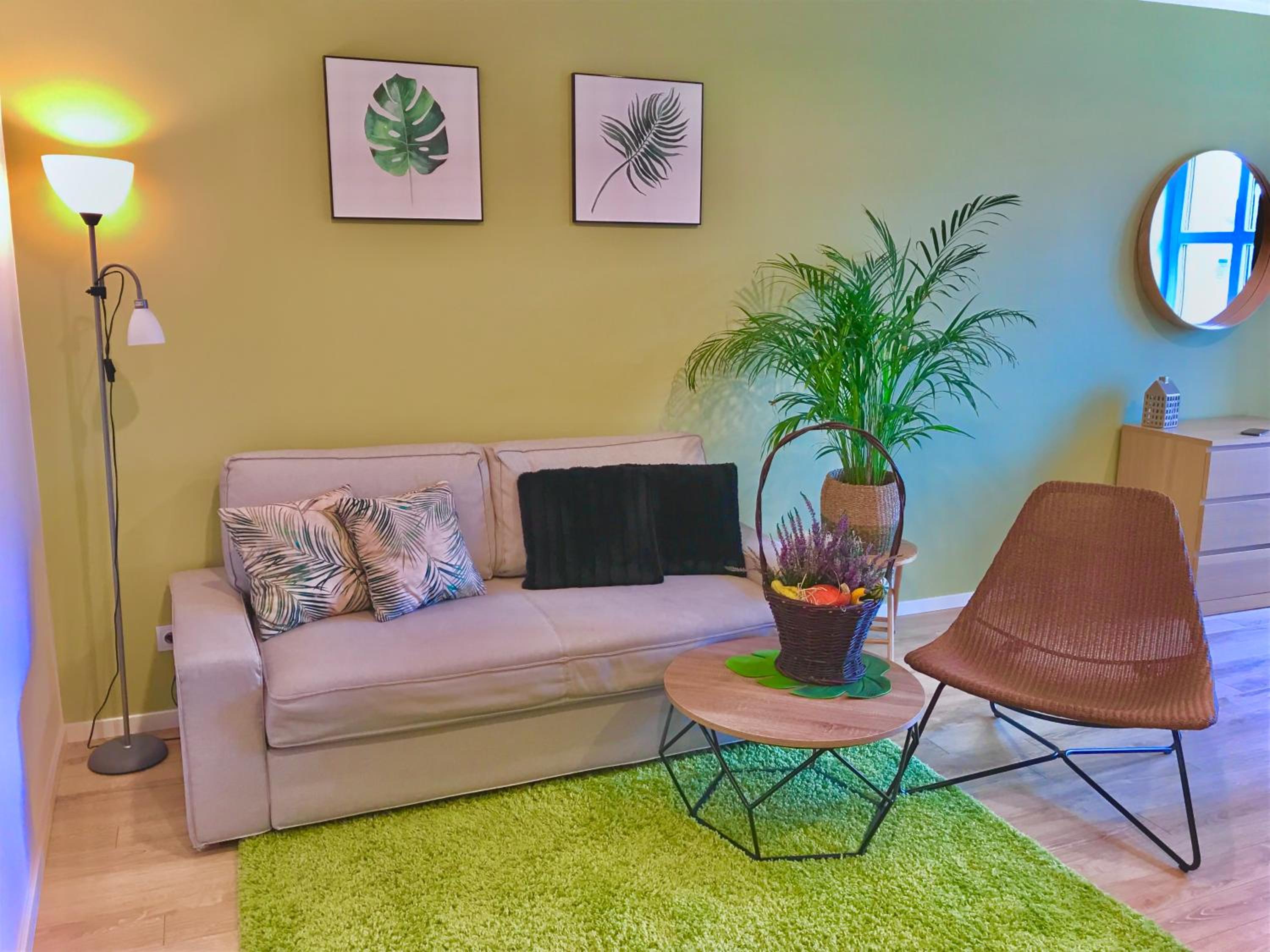 Apartment "Green Wall" view 2