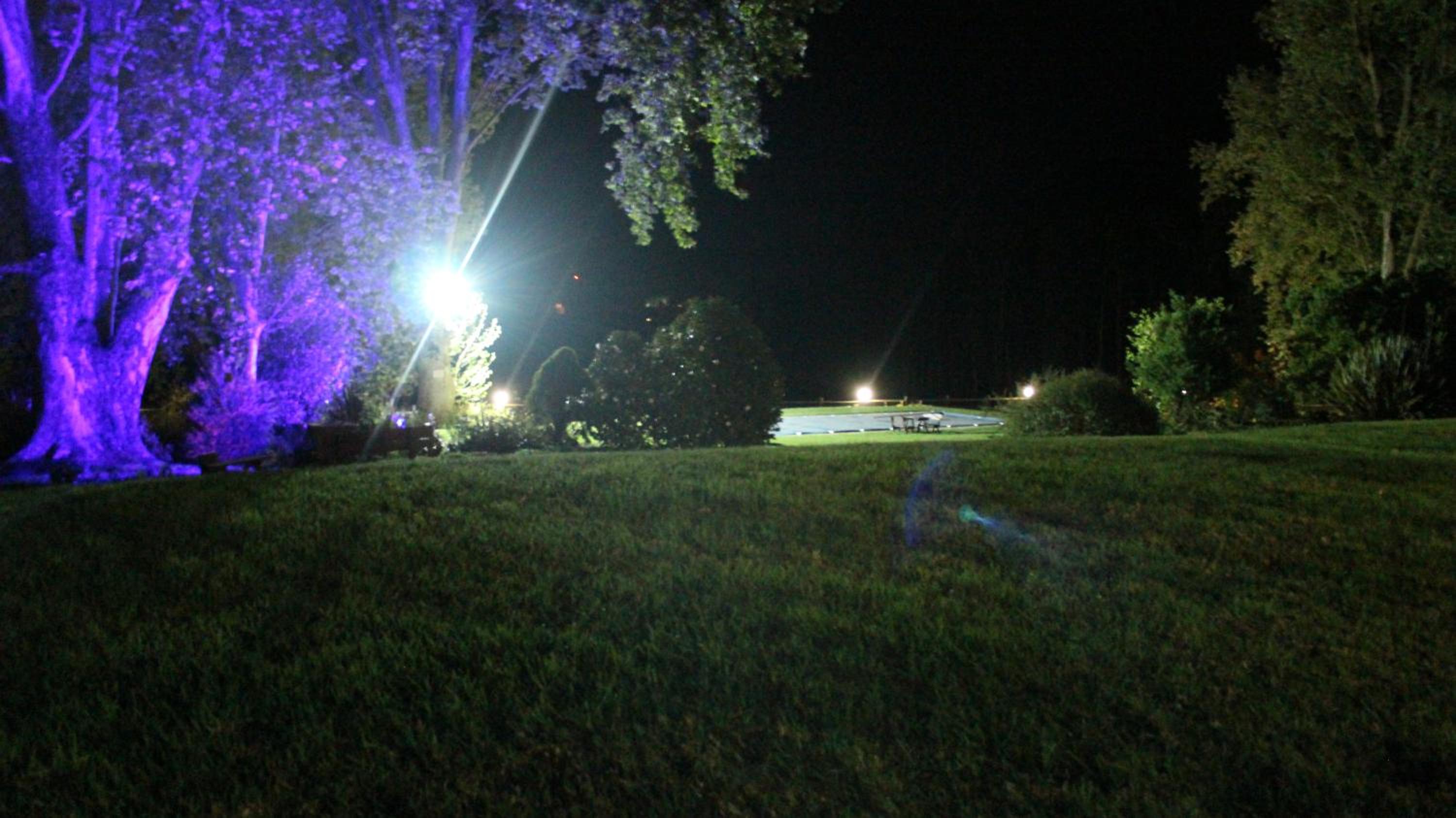 Photo 46