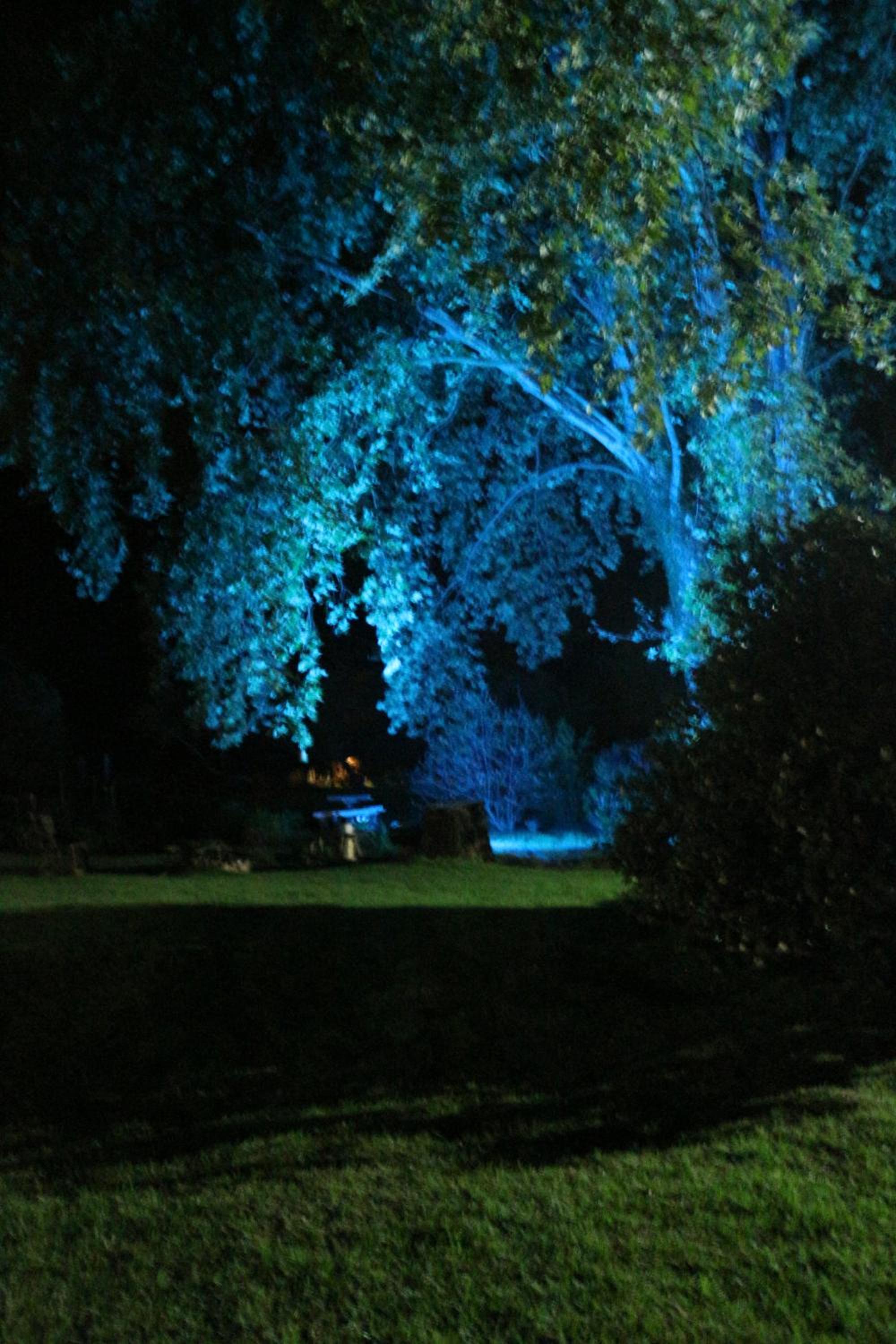 Photo 42