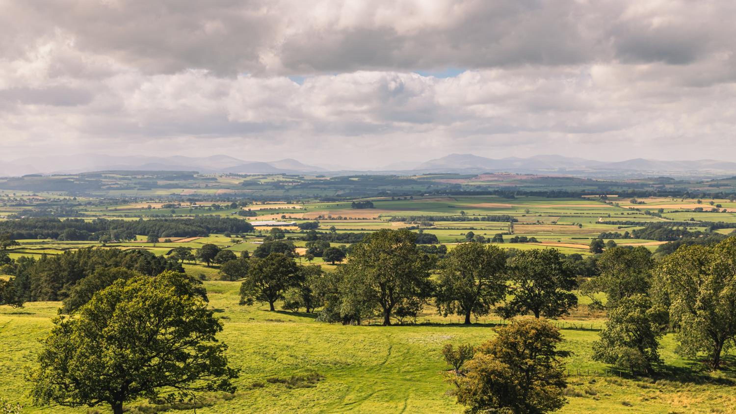 Alston House Hotel view 5