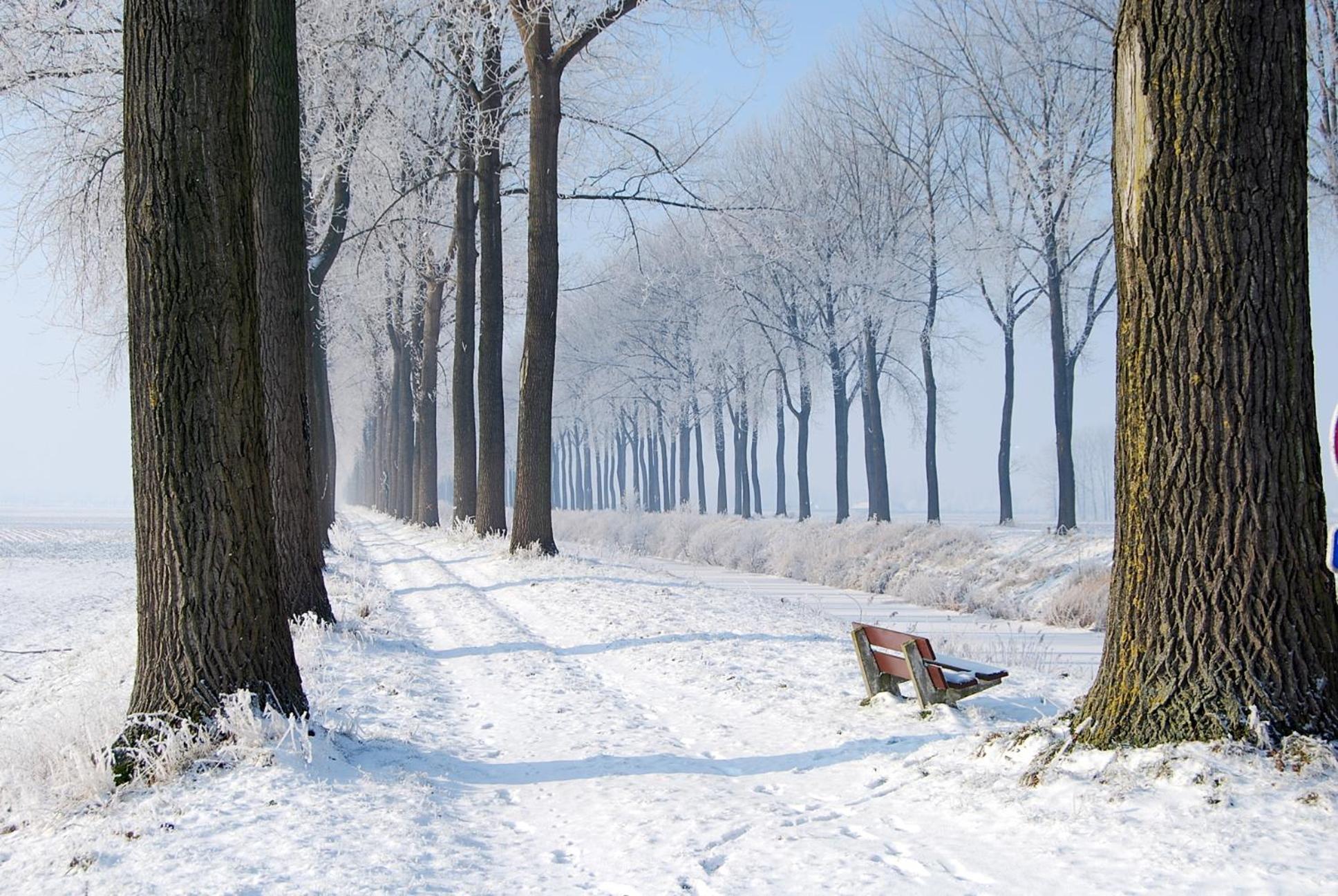 De Zonnebrug