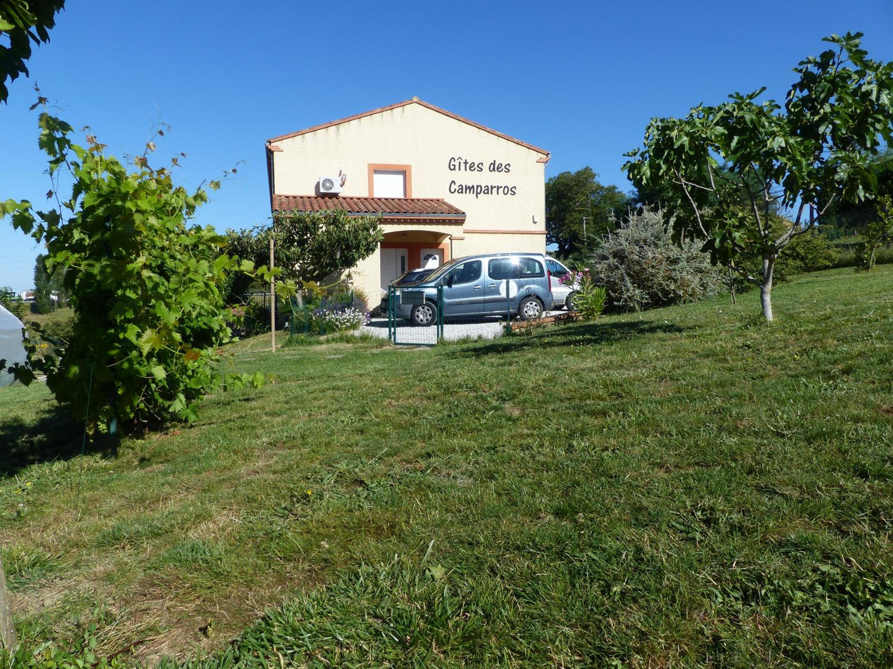 Photo 12