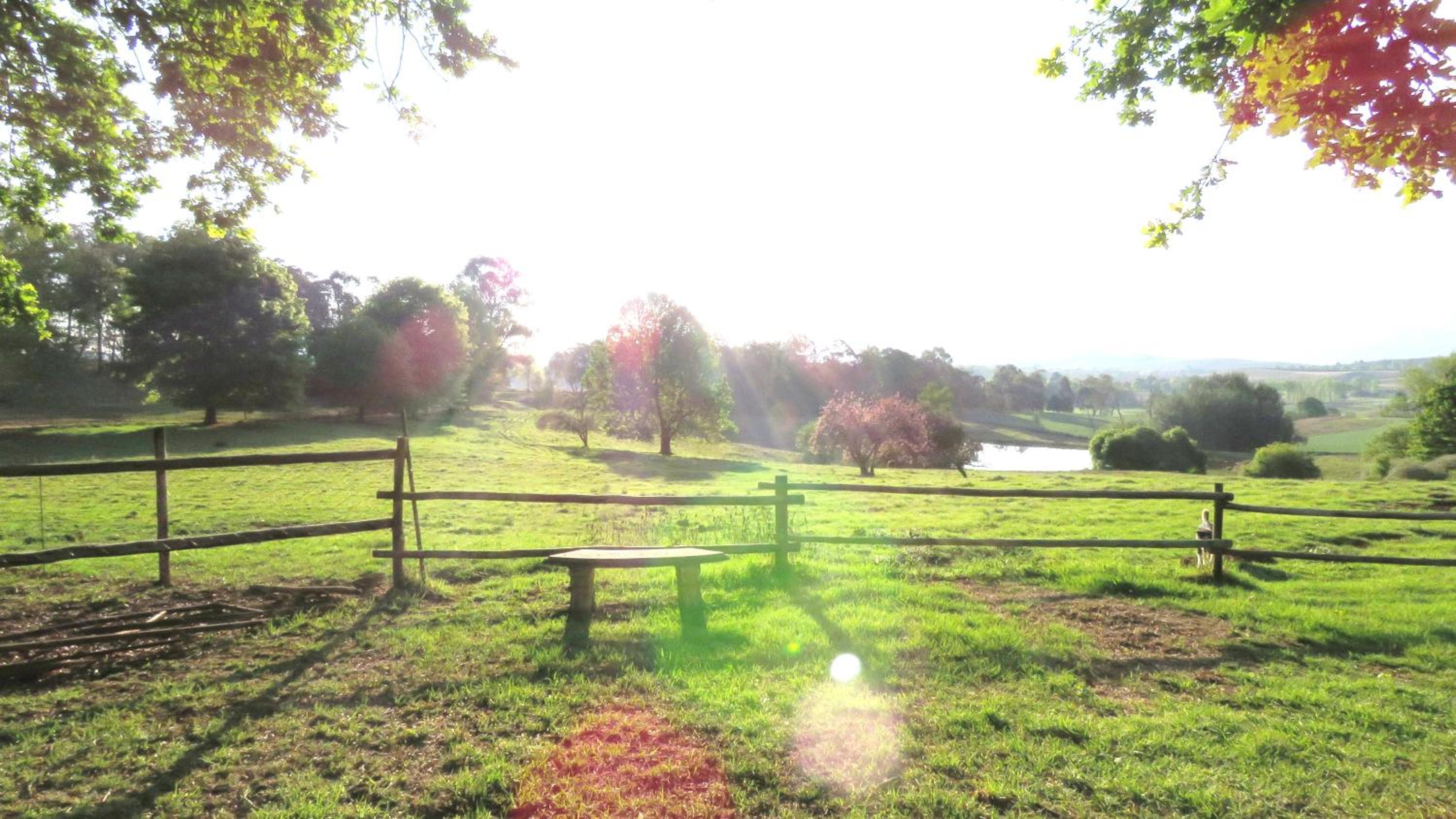 Old Inchgarth Farmstay view 3