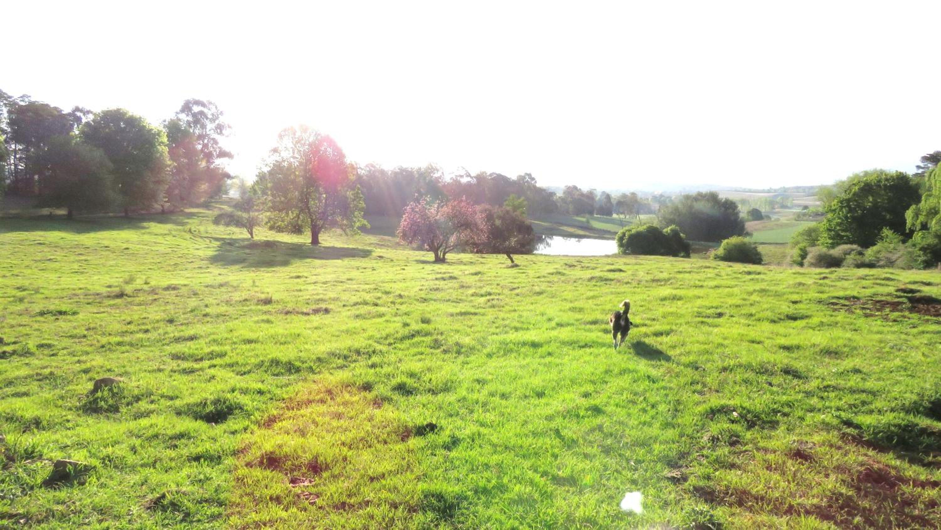 Old Inchgarth Farmstay view 4