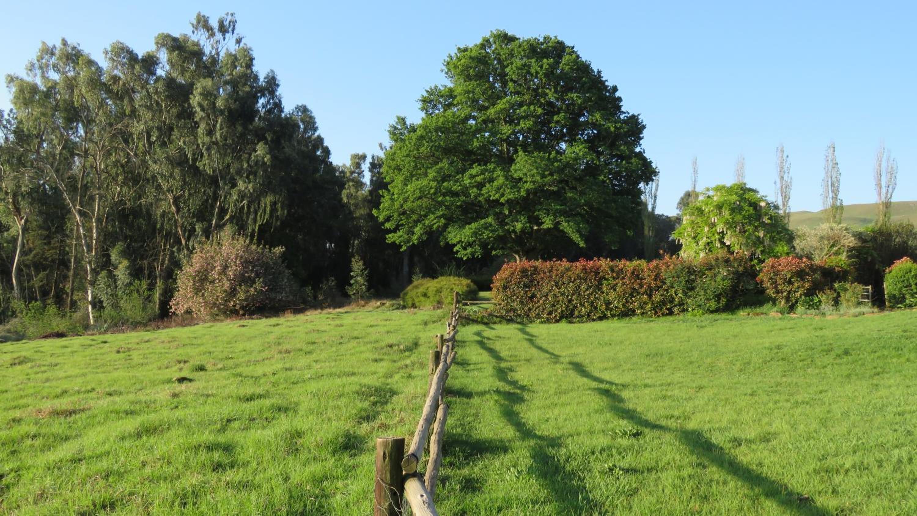 Old Inchgarth Farmstay view 5