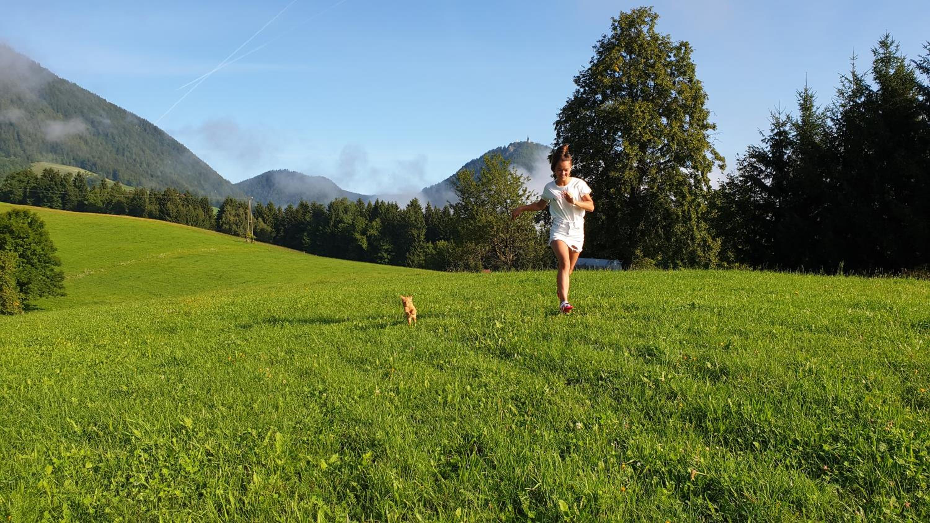 Hotel Apartma Lesjak - pobeg v naravo - Image 1