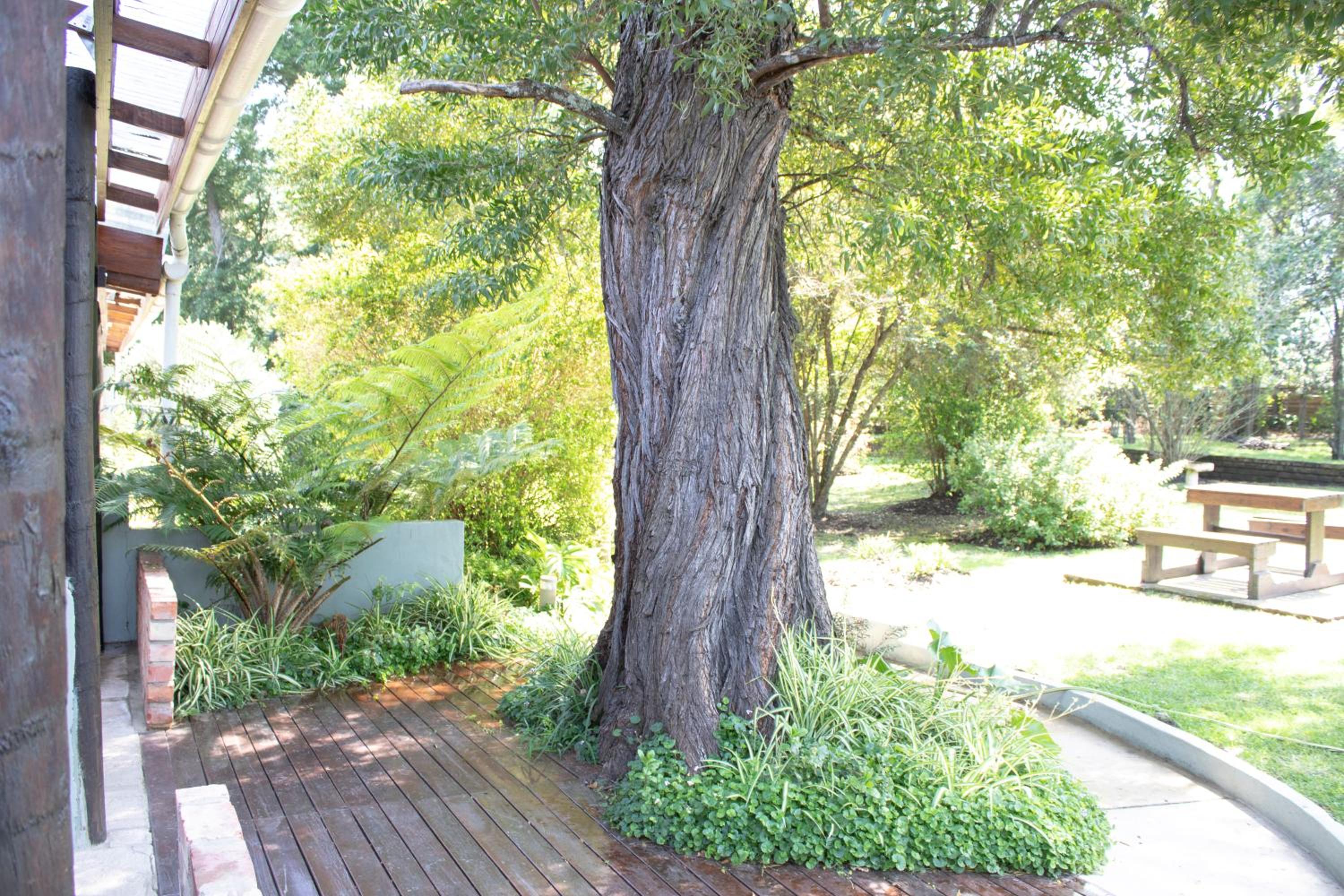 Andelomi Nature's Rest
