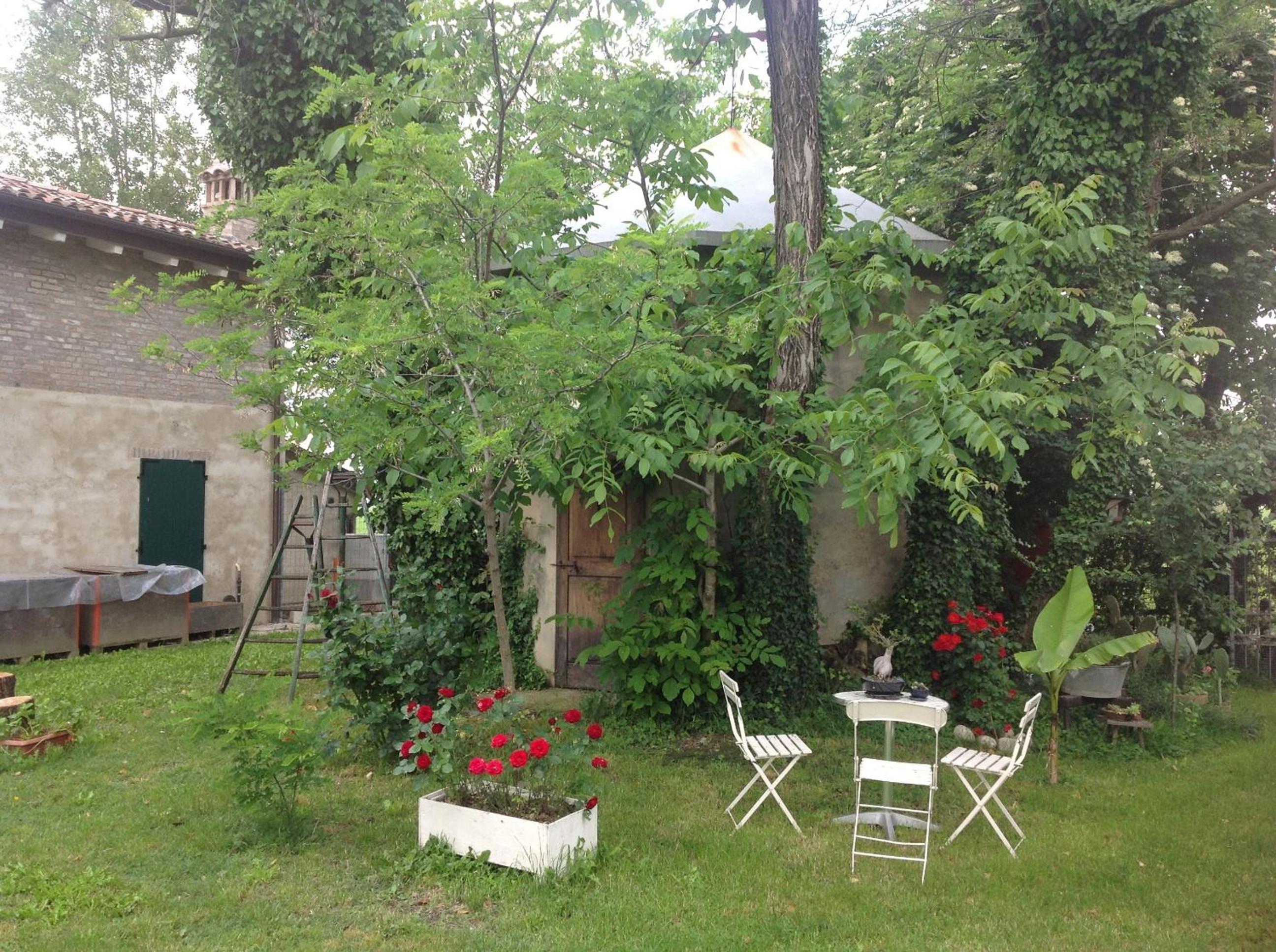 Photo 45