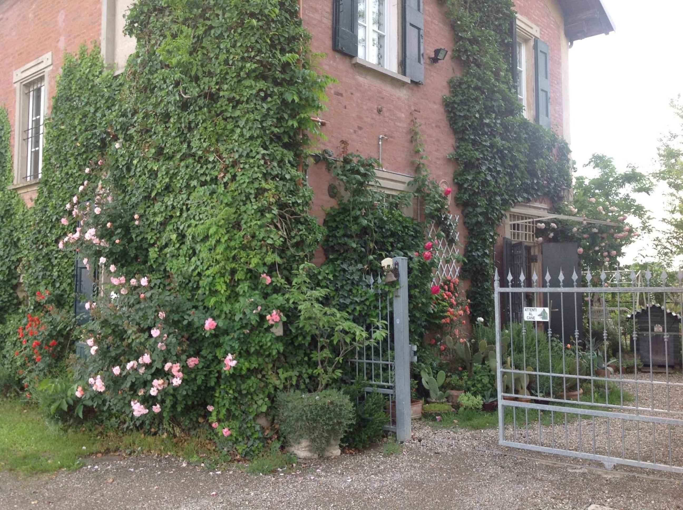 Photo 46