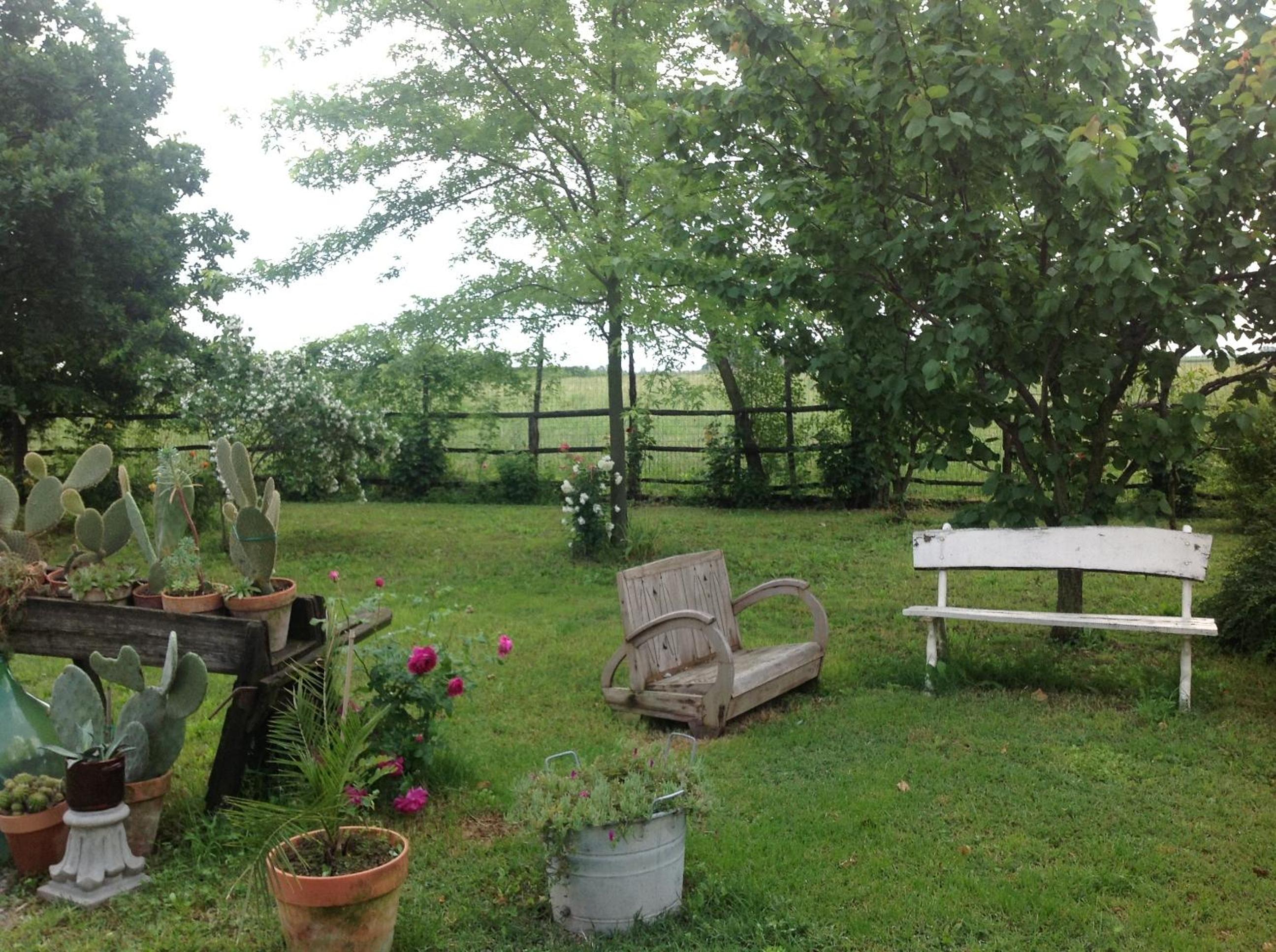 Photo 47