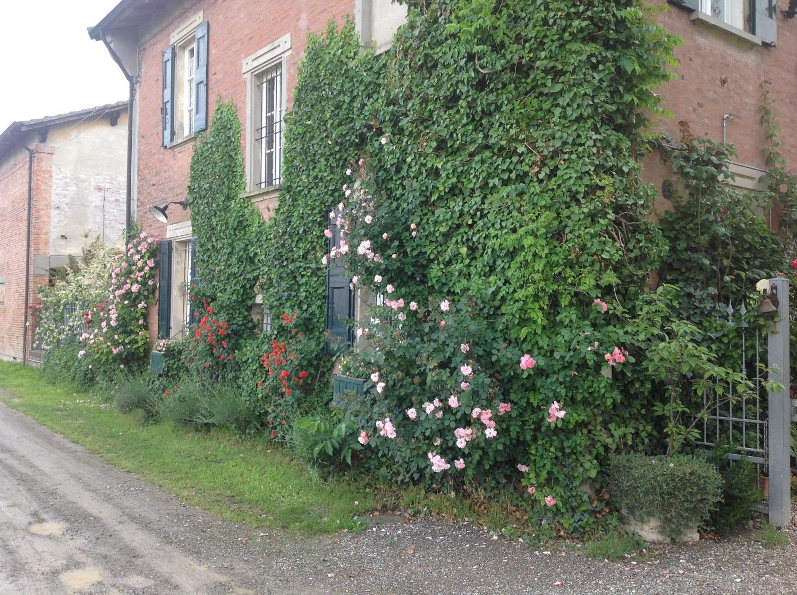 Photo 49