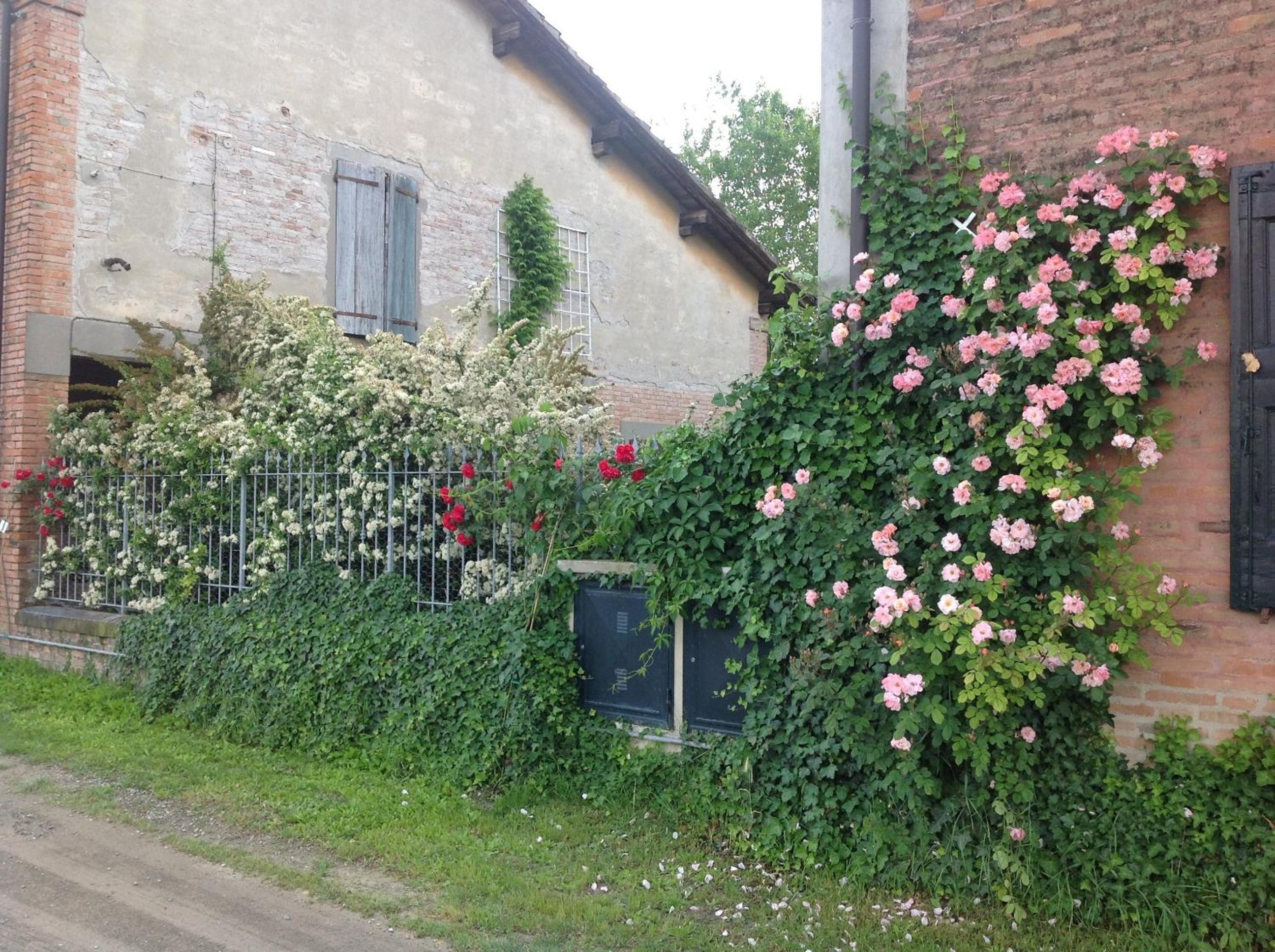 Photo 51