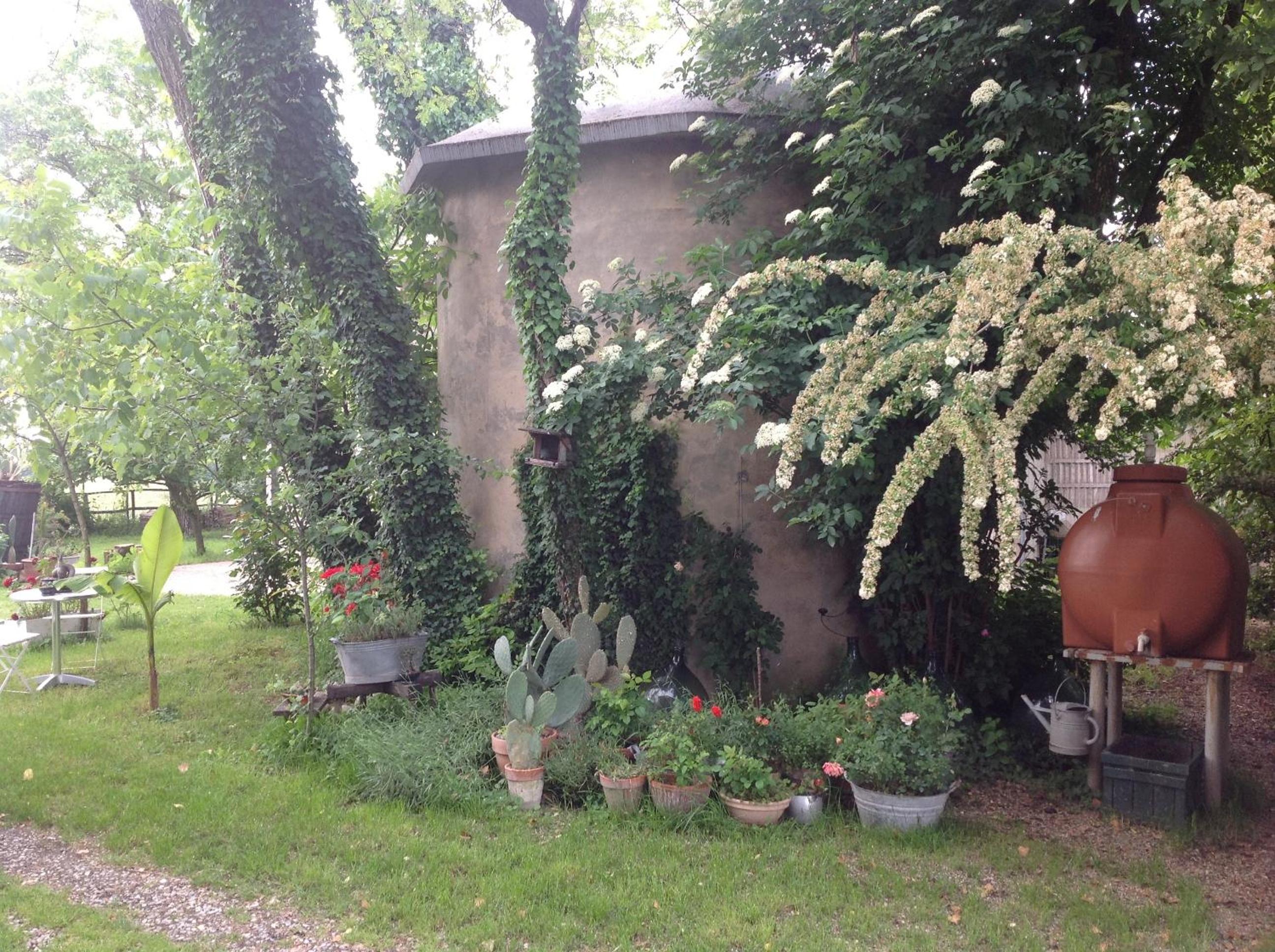 Photo 52