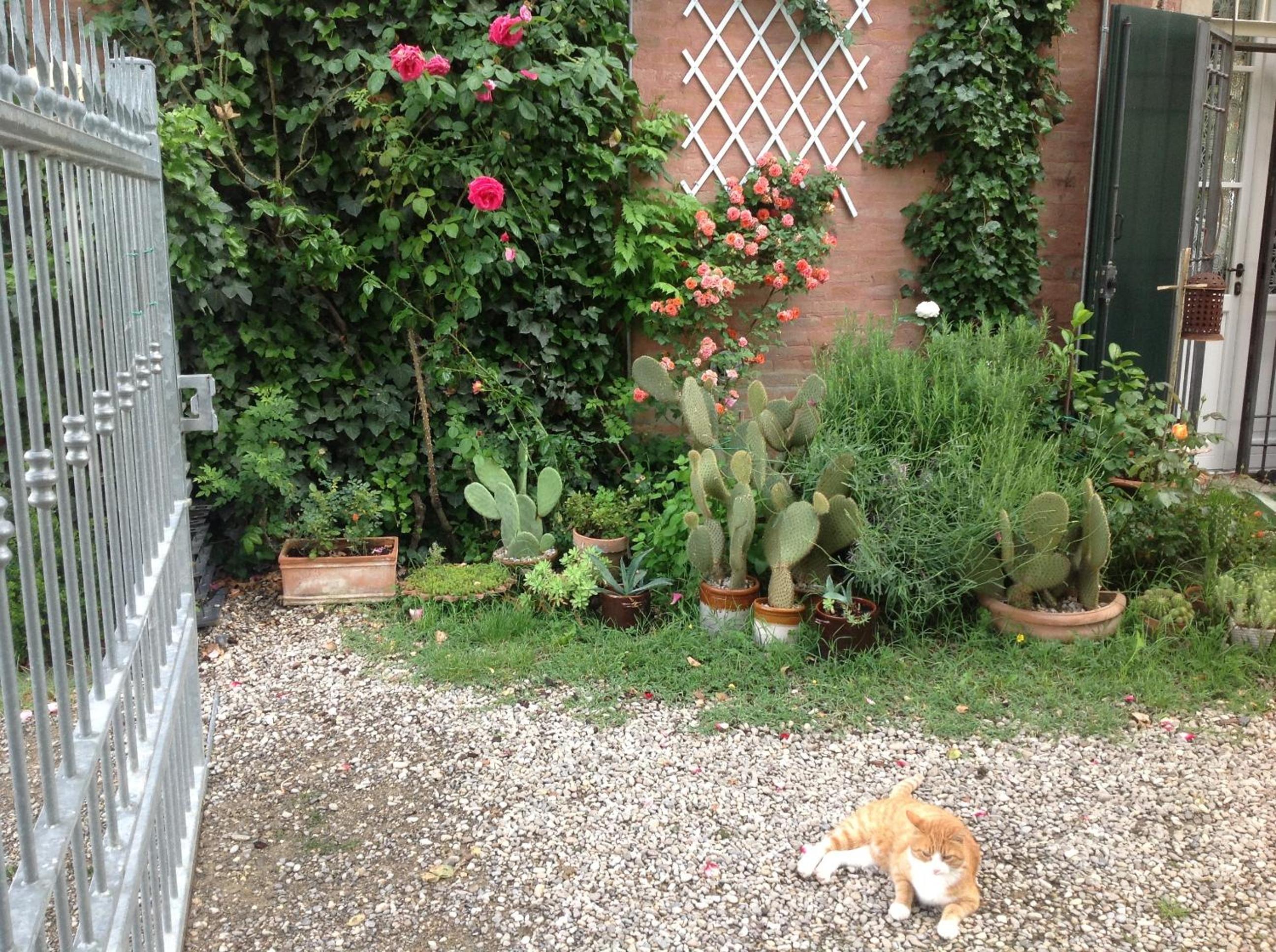 Photo 53