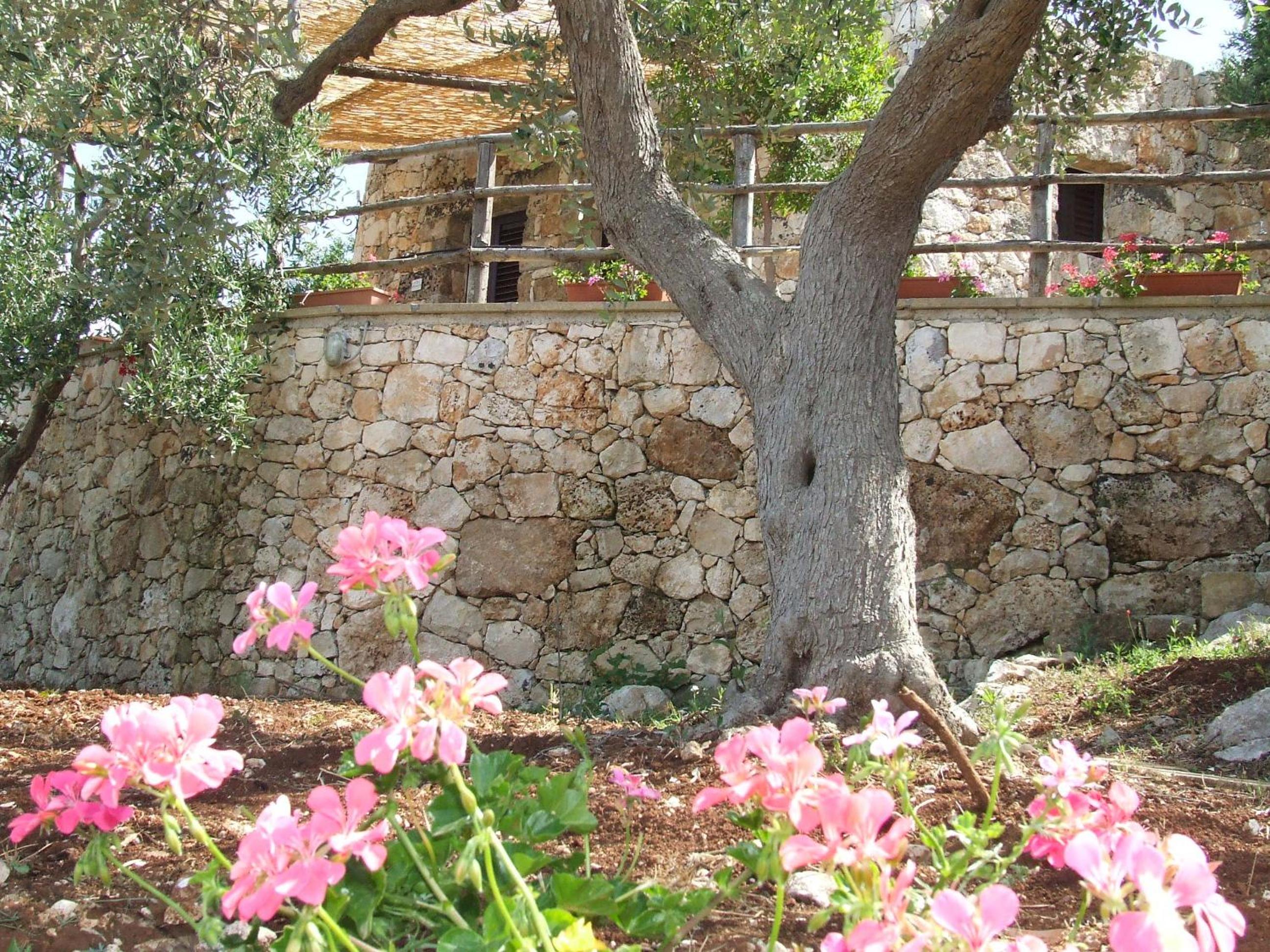 Photo 26