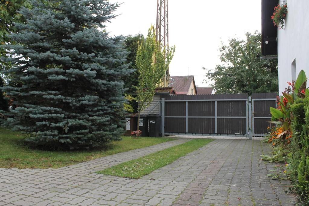 Photo 25