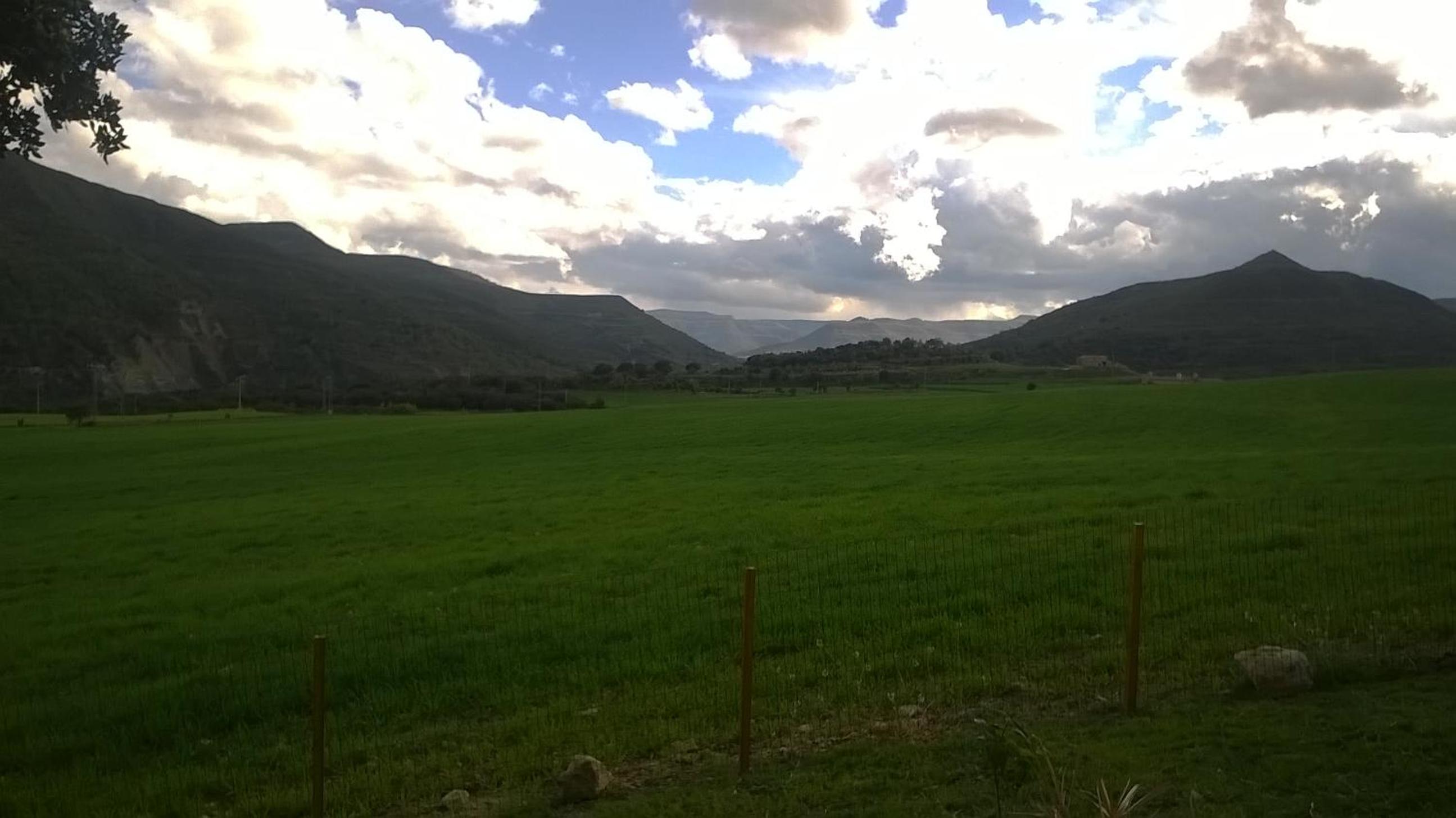 Photo 19