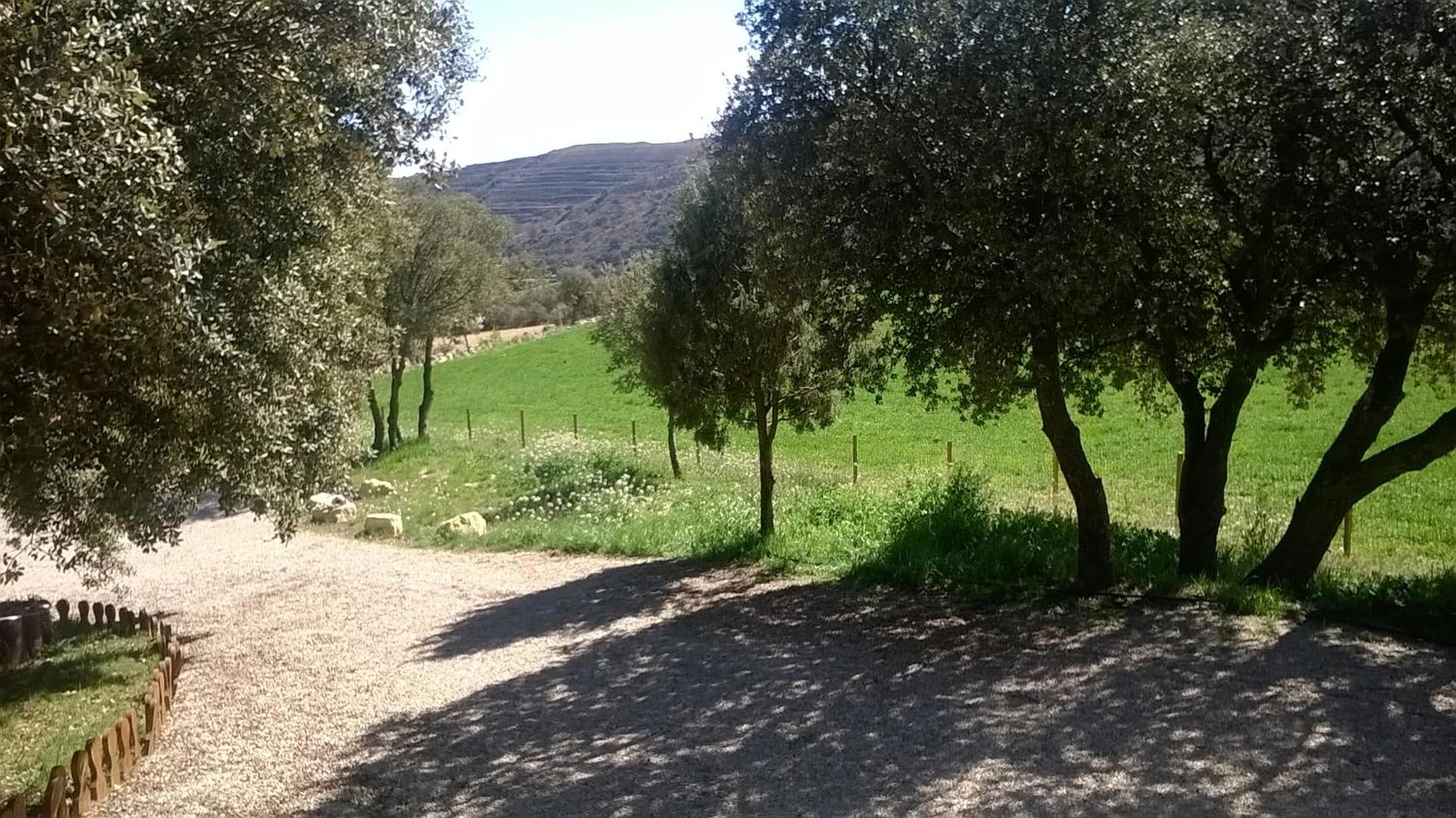 Photo 18