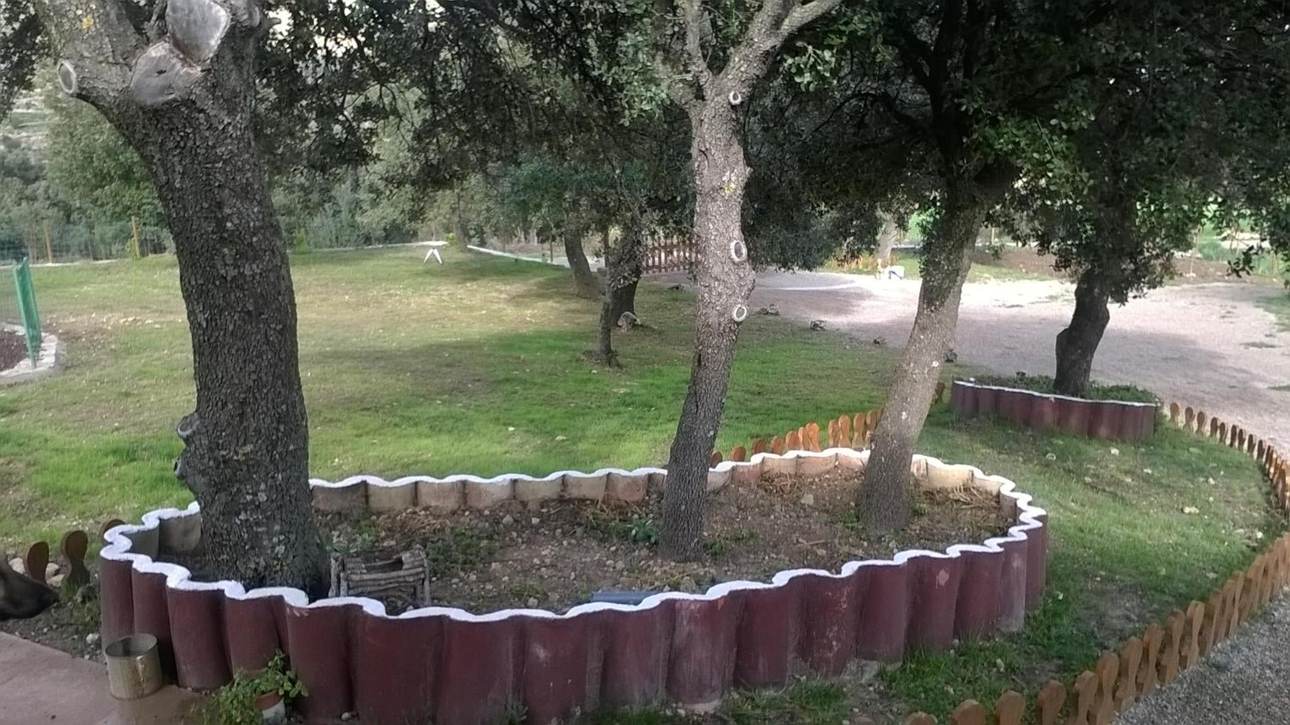 Photo 17