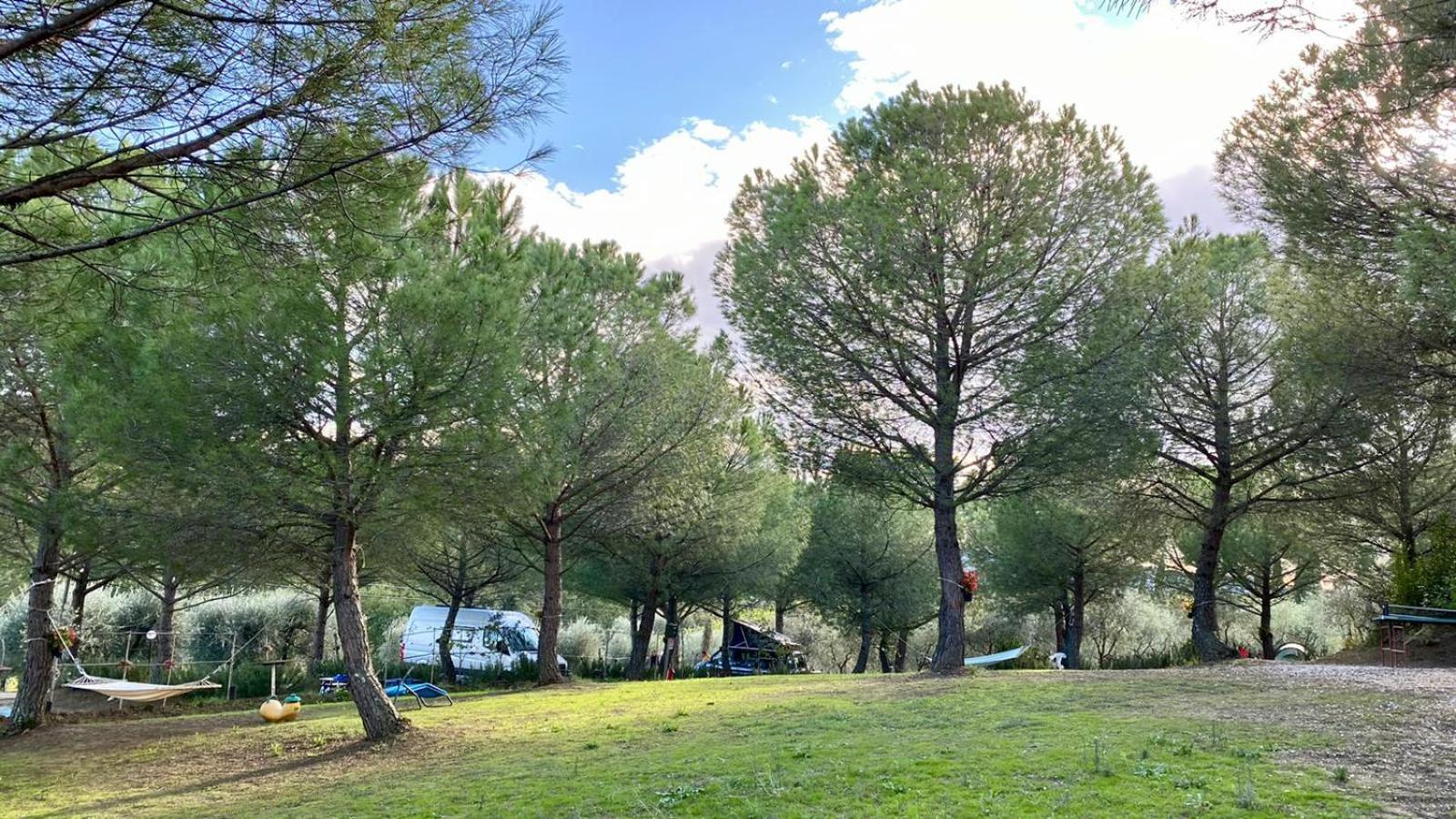 AGRiCAMPiNG POGGiO Ai PiNi WiNE CAMPiNG view 2
