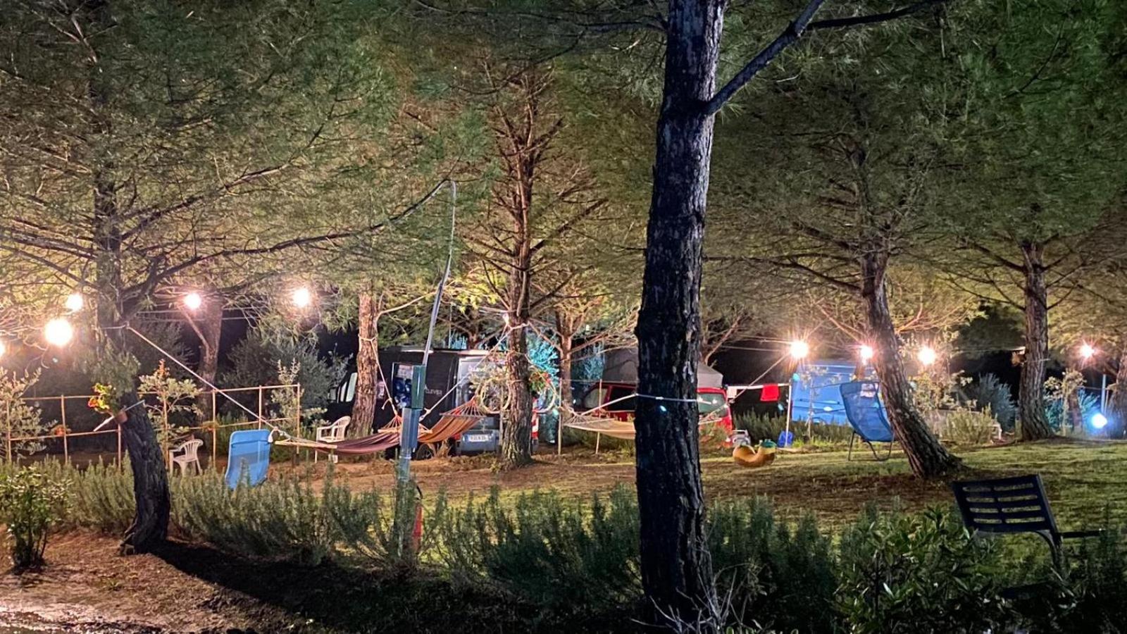 AGRiCAMPiNG POGGiO Ai PiNi WiNE CAMPiNG view 3